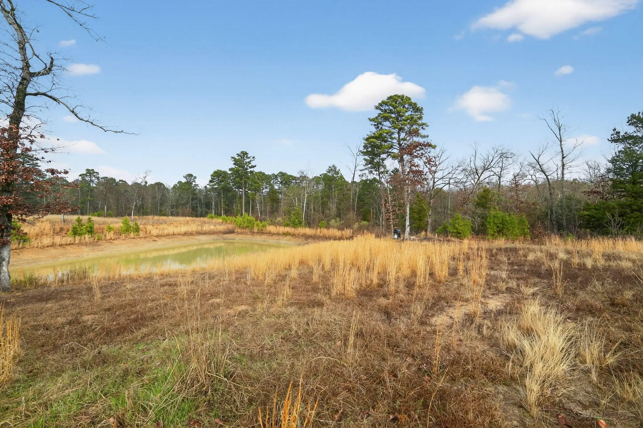 Unimproved Land For Sale in Wood County , 868 County Road 2920, Alba, Texas 75410, 0, 0, Garage spaces, 0 Sqft, built in 0, Price $99,000, mls#21159109, Real Estate Agent in Alba, Homes For Sale in Wood county, Homes For Sale in Alba, Realtor in Alba Texas, Real Estate Brokerage Independent Realty Texas, Luminita Cordes Realtor