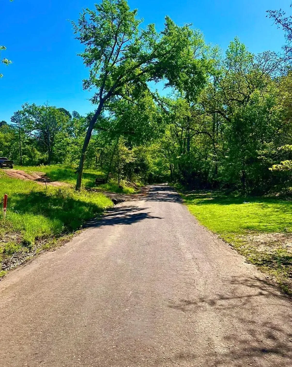 Unimproved Land For Sale in Wood County , 868 County Road 2920, Alba, Texas 75410, 0, 0, Garage spaces, 0 Sqft, built in 0, Price $99,000, mls#21159109, Real Estate Agent in Alba, Homes For Sale in Wood county, Homes For Sale in Alba, Realtor in Alba Texas, Real Estate Brokerage Independent Realty Texas, Luminita Cordes Realtor