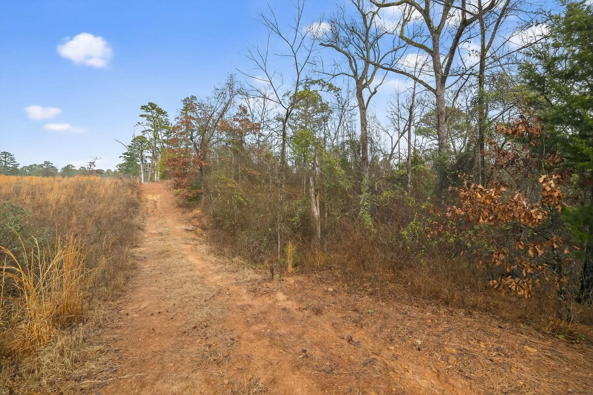 Unimproved Land For Sale in Wood County , 868 County Road 2920, Alba, Texas 75410, 0, 0, Garage spaces, 0 Sqft, built in 0, Price $99,000, mls#21159109, Real Estate Agent in Alba, Homes For Sale in Wood county, Homes For Sale in Alba, Realtor in Alba Texas, Real Estate Brokerage Independent Realty Texas, Luminita Cordes Realtor