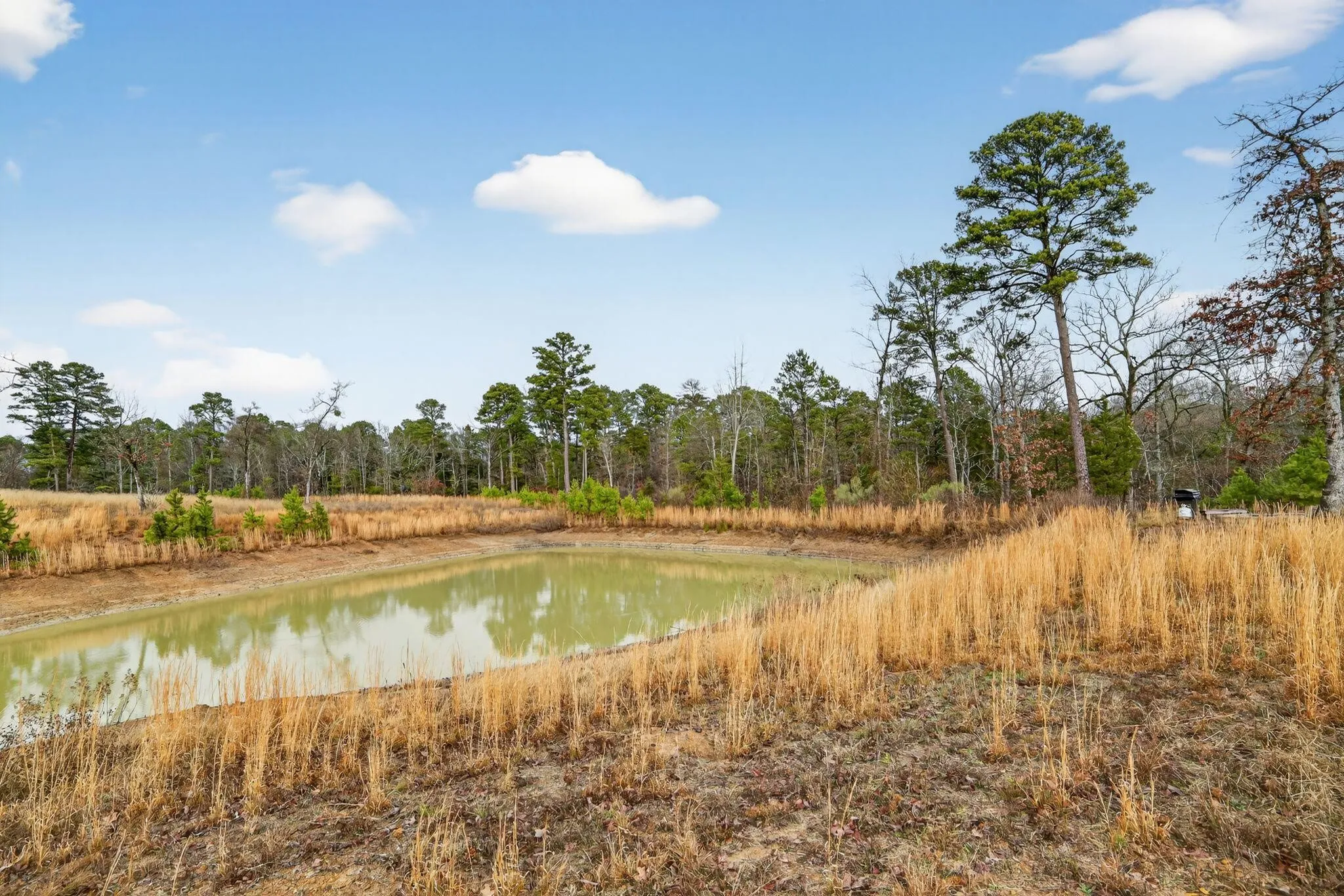Unimproved Land For Sale in Wood County , 868 County Road 2920, Alba, Texas 75410, 0, 0, Garage spaces, 0 Sqft, built in 0, Price $99,000, mls#21159109, Real Estate Agent in Alba, Homes For Sale in Wood county, Homes For Sale in Alba, Realtor in Alba Texas, Real Estate Brokerage Independent Realty Texas, Luminita Cordes Realtor