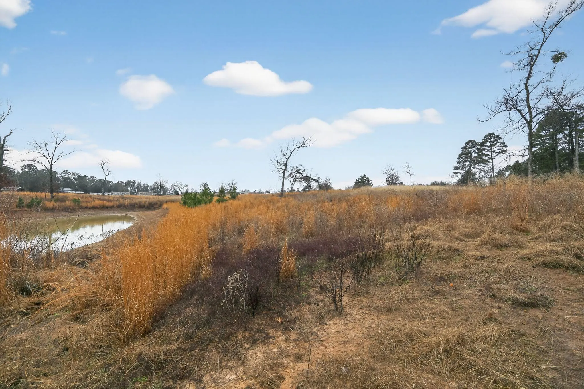 Unimproved Land For Sale in Wood County , 868 County Road 2920, Alba, Texas 75410, 0, 0, Garage spaces, 0 Sqft, built in 0, Price $99,000, mls#21159109, Real Estate Agent in Alba, Homes For Sale in Wood county, Homes For Sale in Alba, Realtor in Alba Texas, Real Estate Brokerage Independent Realty Texas, Luminita Cordes Realtor