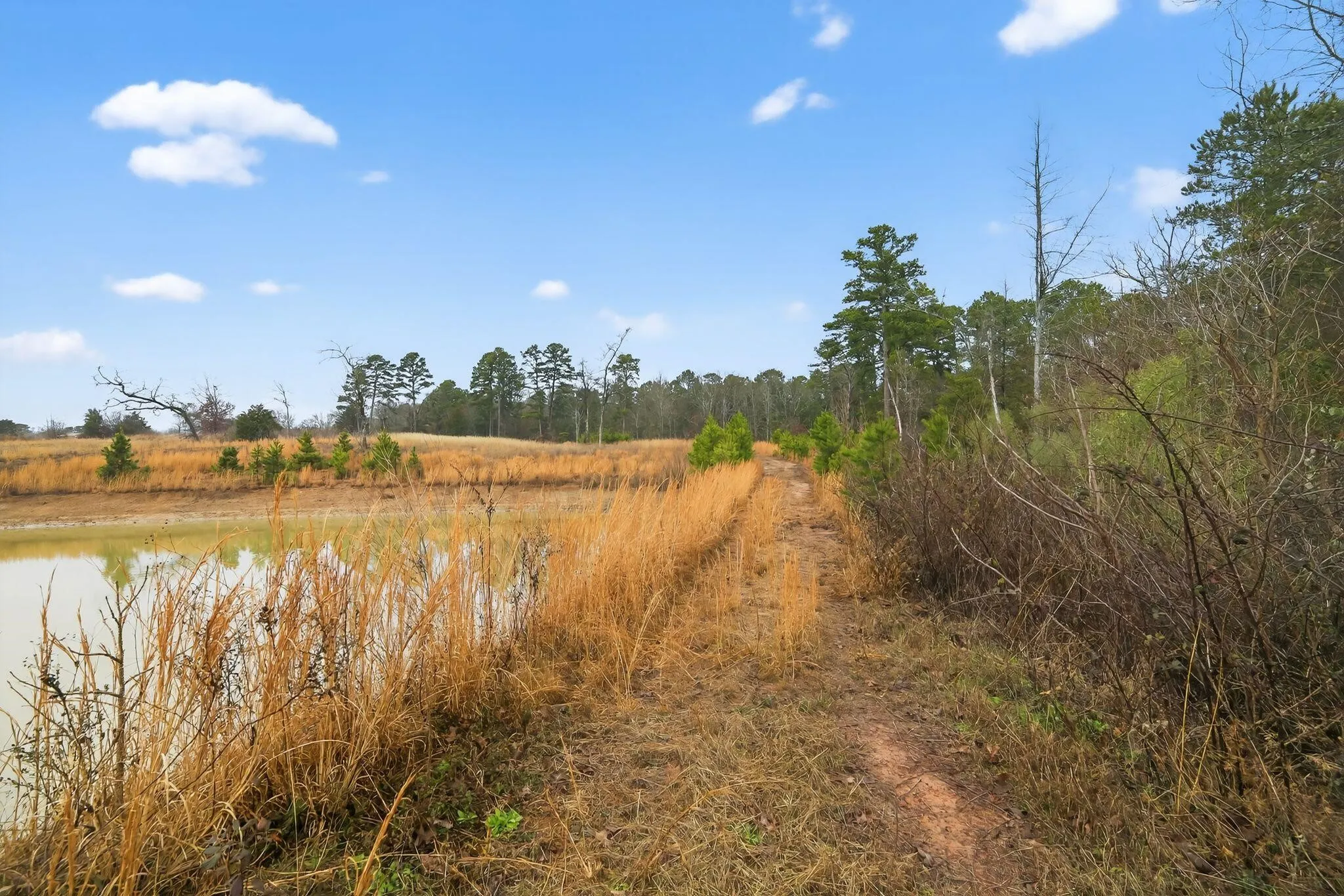Unimproved Land For Sale in Wood County , 868 County Road 2920, Alba, Texas 75410, 0, 0, Garage spaces, 0 Sqft, built in 0, Price $99,000, mls#21159109, Real Estate Agent in Alba, Homes For Sale in Wood county, Homes For Sale in Alba, Realtor in Alba Texas, Real Estate Brokerage Independent Realty Texas, Luminita Cordes Realtor