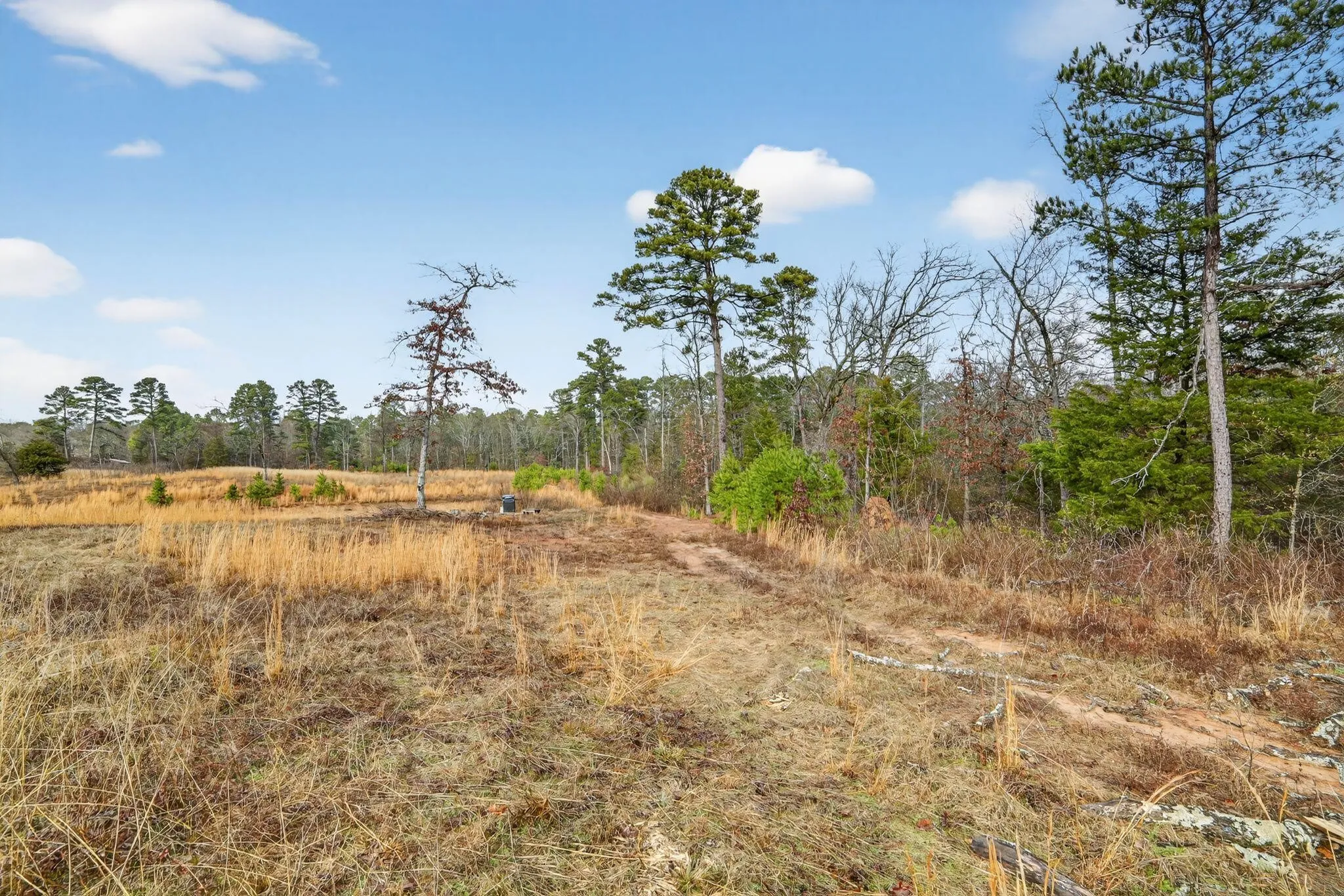 Unimproved Land For Sale in Wood County , 868 County Road 2920, Alba, Texas 75410, 0, 0, Garage spaces, 0 Sqft, built in 0, Price $99,000, mls#21159109, Real Estate Agent in Alba, Homes For Sale in Wood county, Homes For Sale in Alba, Realtor in Alba Texas, Real Estate Brokerage Independent Realty Texas, Luminita Cordes Realtor