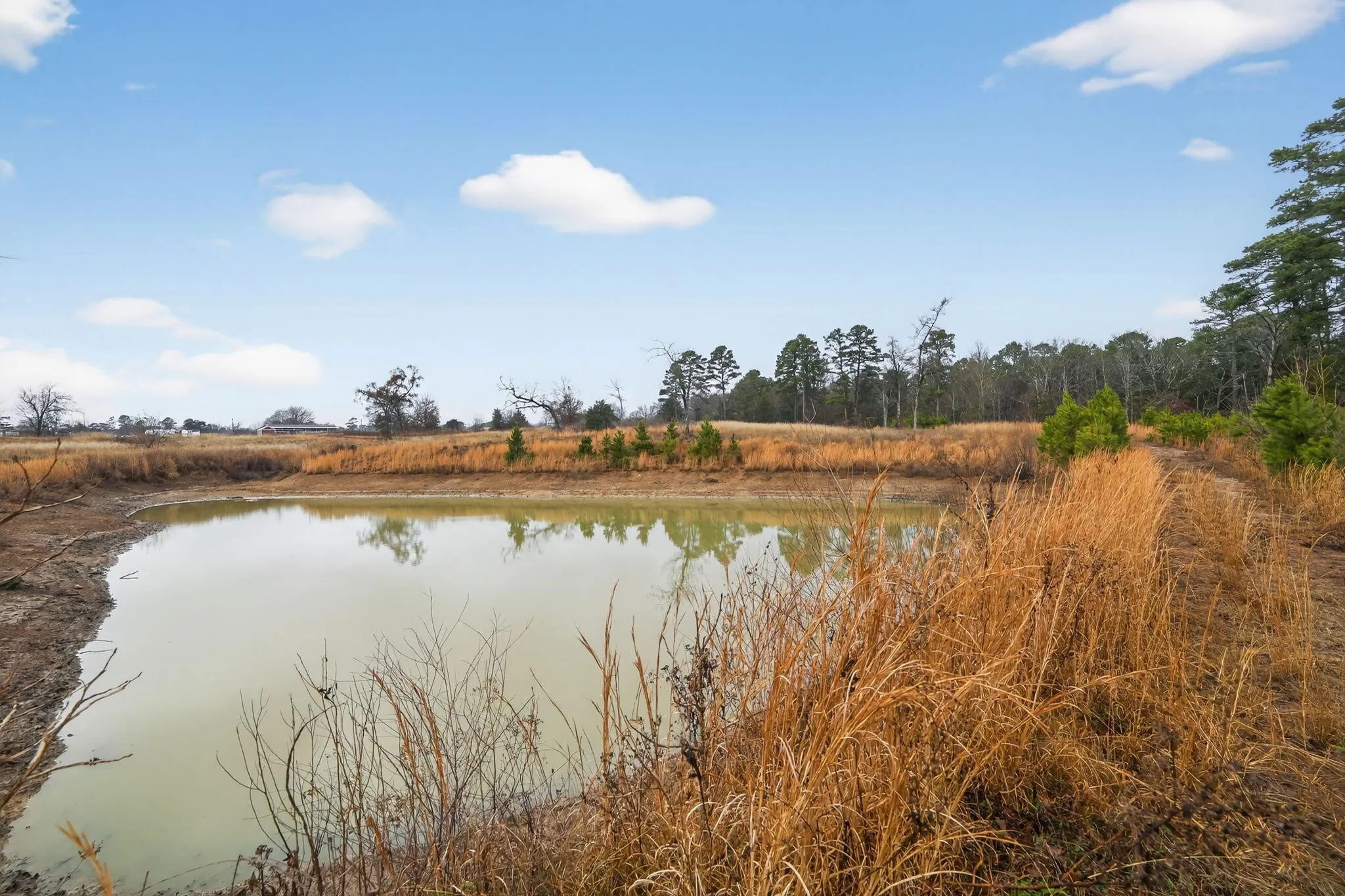 Unimproved Land For Sale in Wood County , 868 County Road 2920, Alba, Texas 75410, 0, 0, Garage spaces, 0 Sqft, built in 0, Price $99,000, mls#21159109, Real Estate Agent in Alba, Homes For Sale in Wood county, Homes For Sale in Alba, Realtor in Alba Texas, Real Estate Brokerage Independent Realty Texas, Luminita Cordes Realtor