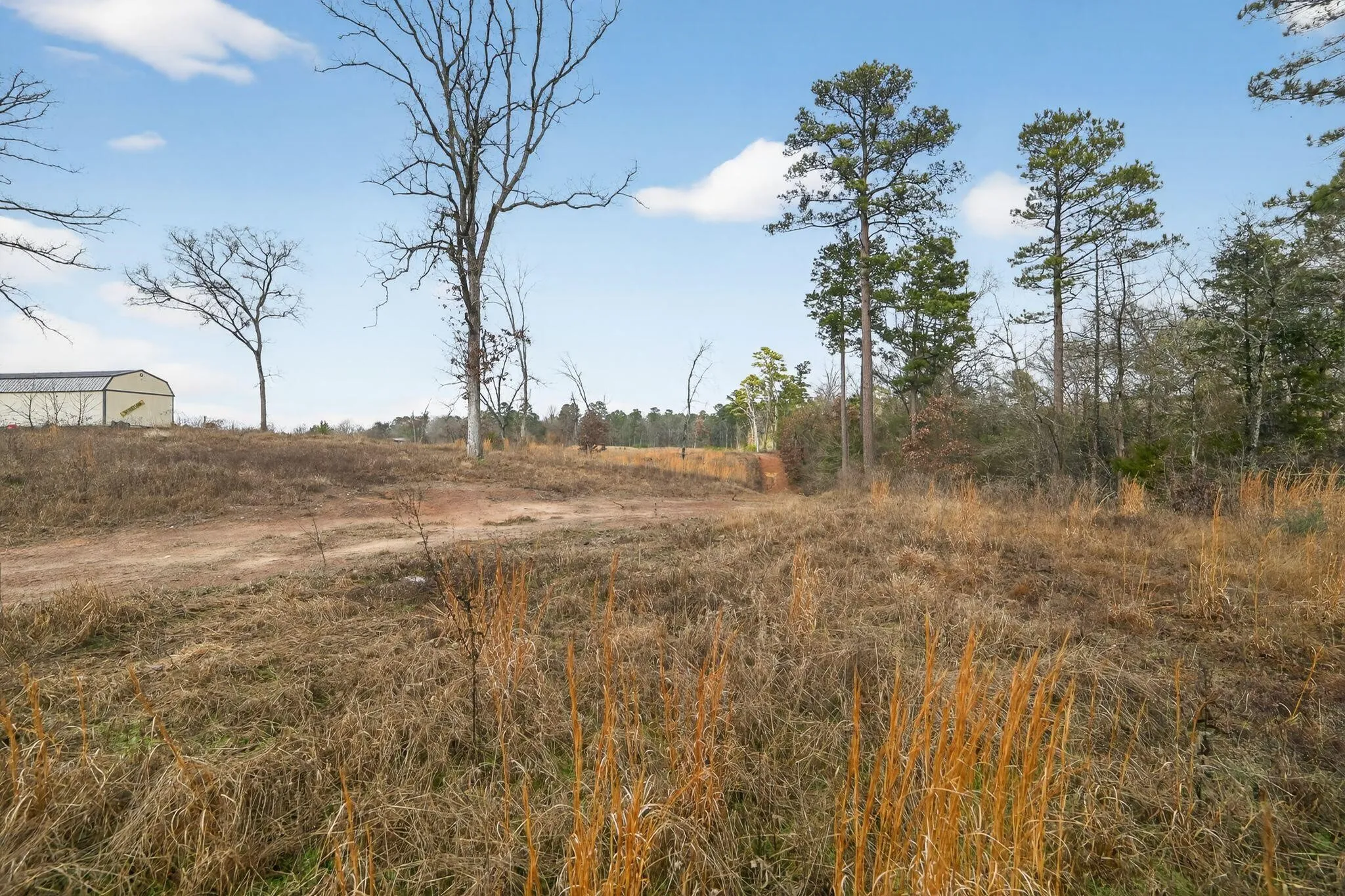 Unimproved Land For Sale in Wood County , 868 County Road 2920, Alba, Texas 75410, 0, 0, Garage spaces, 0 Sqft, built in 0, Price $99,000, mls#21159109, Real Estate Agent in Alba, Homes For Sale in Wood county, Homes For Sale in Alba, Realtor in Alba Texas, Real Estate Brokerage Independent Realty Texas, Luminita Cordes Realtor