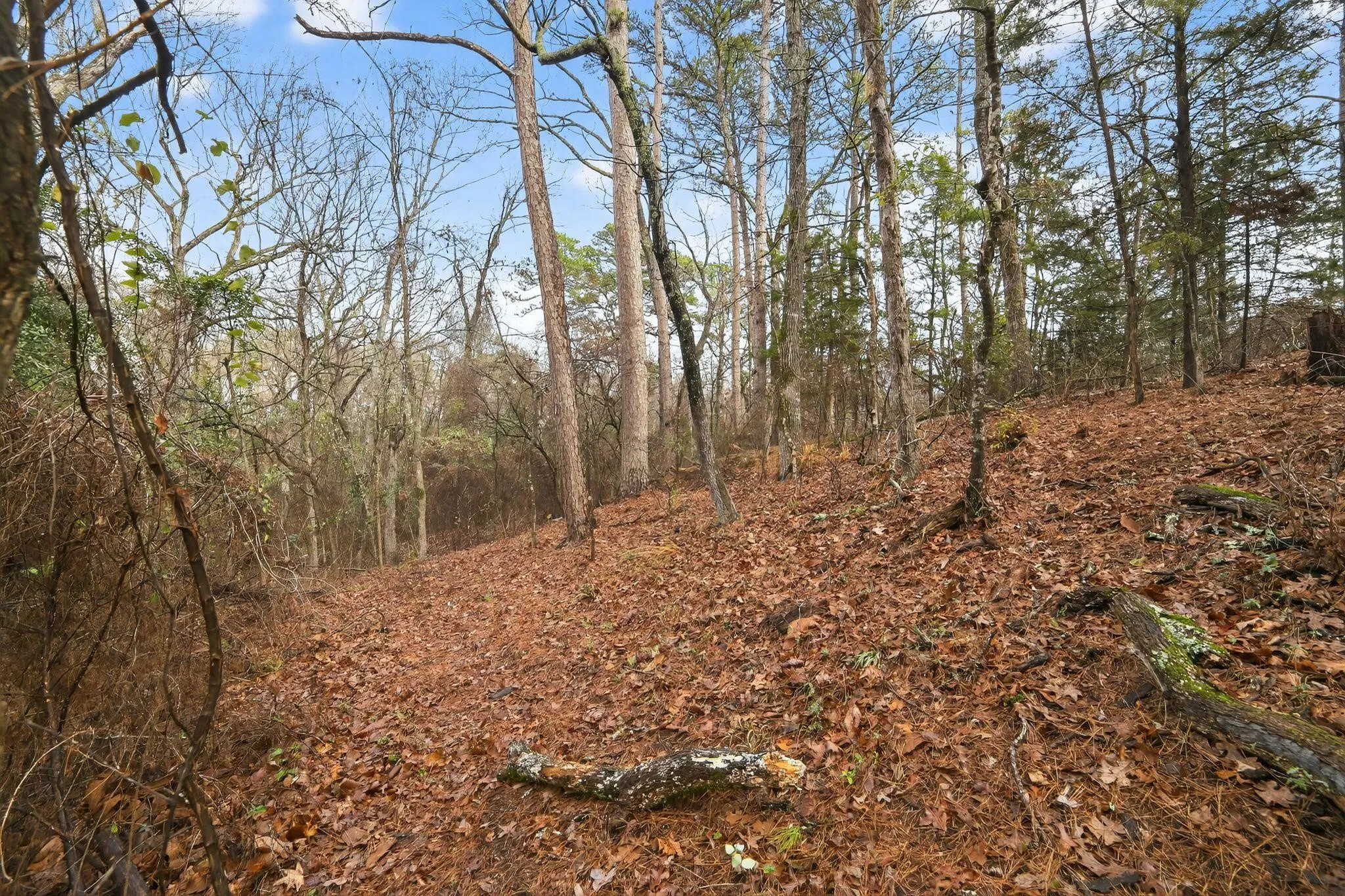 Unimproved Land For Sale in Wood County , 868 County Road 2920, Alba, Texas 75410, 0, 0, Garage spaces, 0 Sqft, built in 0, Price $99,000, mls#21159109, Real Estate Agent in Alba, Homes For Sale in Wood county, Homes For Sale in Alba, Realtor in Alba Texas, Real Estate Brokerage Independent Realty Texas, Luminita Cordes Realtor