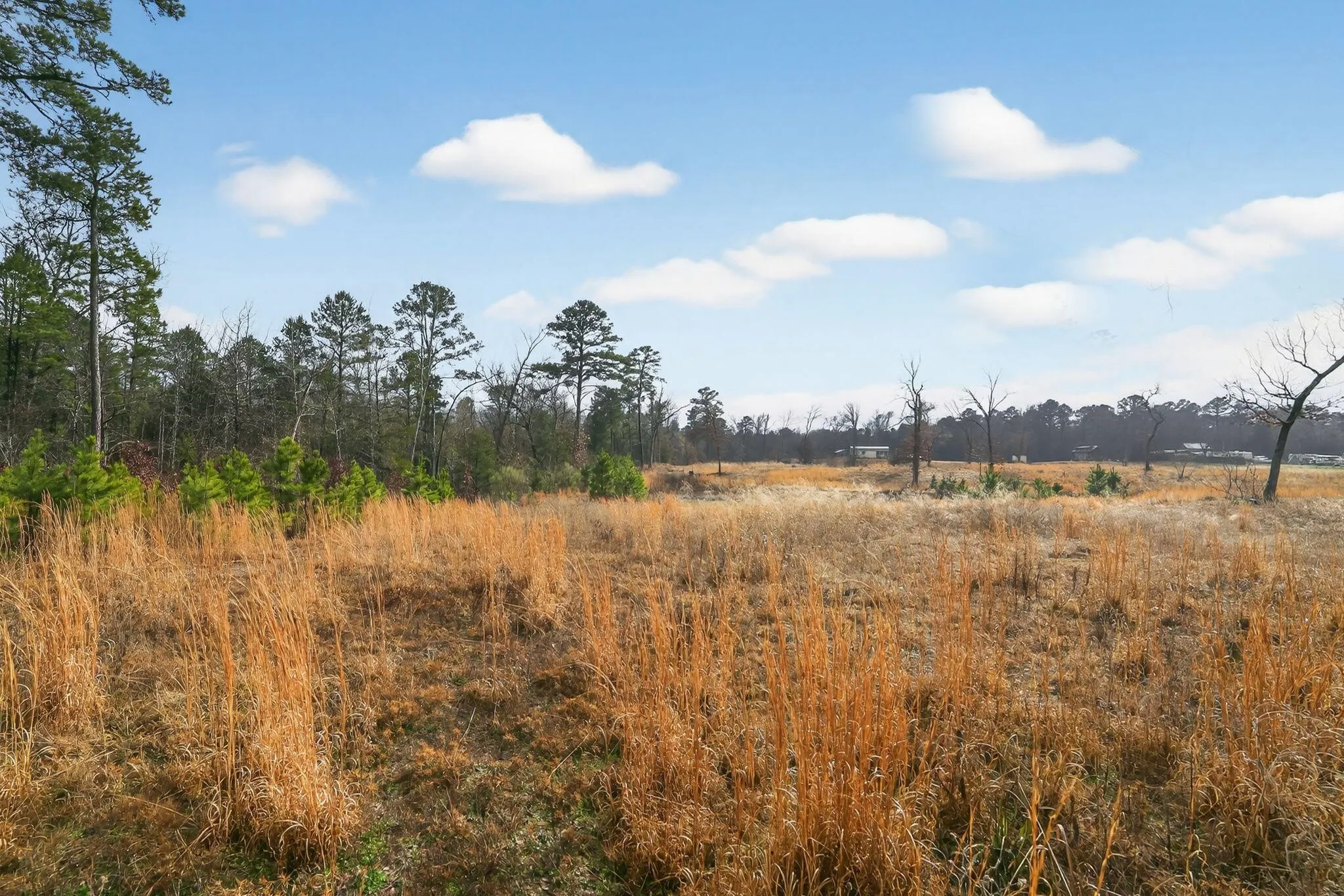 Unimproved Land For Sale in Wood County , 868 County Road 2920, Alba, Texas 75410, 0, 0, Garage spaces, 0 Sqft, built in 0, Price $99,000, mls#21159109, Real Estate Agent in Alba, Homes For Sale in Wood county, Homes For Sale in Alba, Realtor in Alba Texas, Real Estate Brokerage Independent Realty Texas, Luminita Cordes Realtor