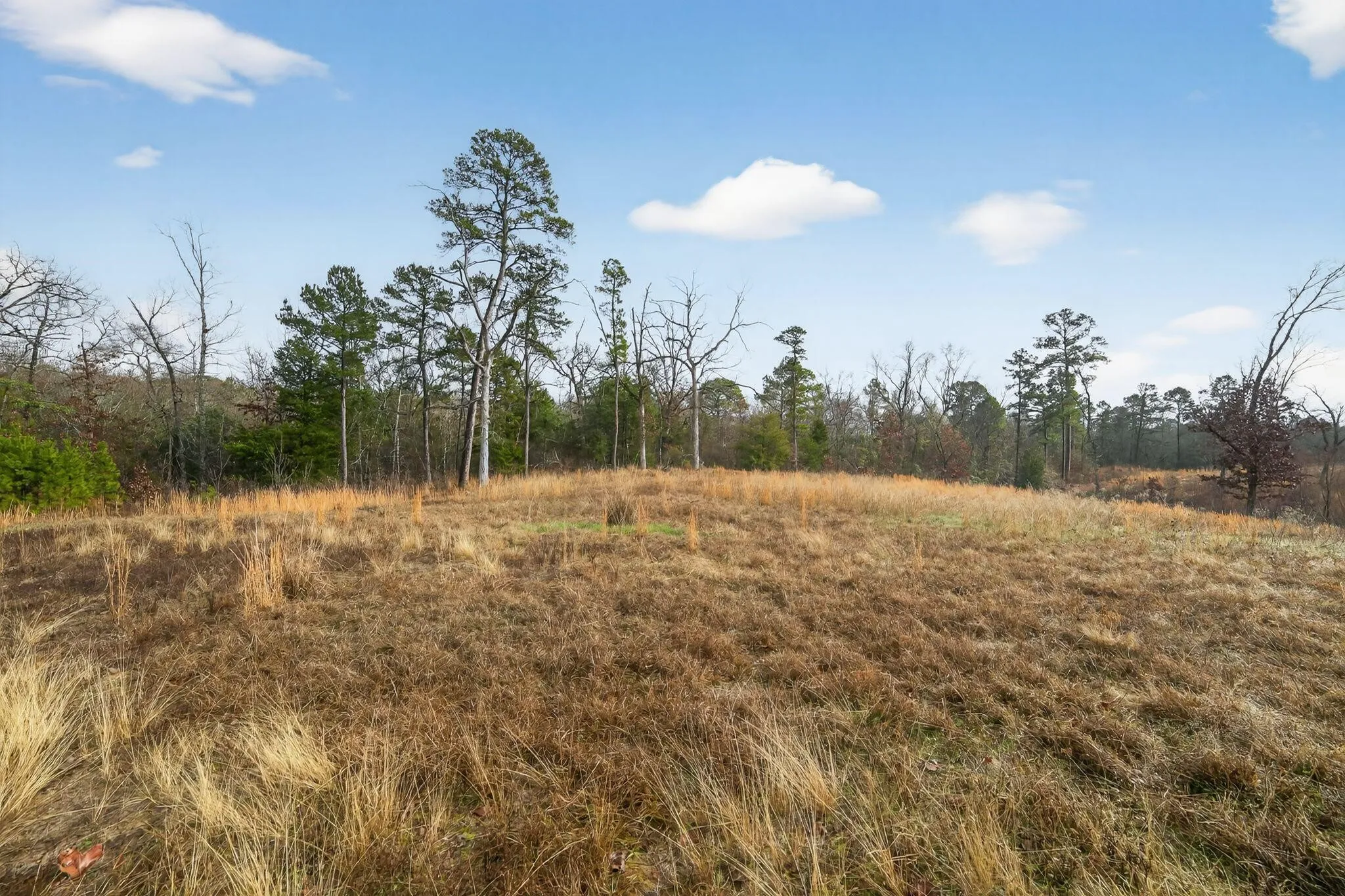 Unimproved Land For Sale in Wood County , 868 County Road 2920, Alba, Texas 75410, 0, 0, Garage spaces, 0 Sqft, built in 0, Price $99,000, mls#21159109, Real Estate Agent in Alba, Homes For Sale in Wood county, Homes For Sale in Alba, Realtor in Alba Texas, Real Estate Brokerage Independent Realty Texas, Luminita Cordes Realtor