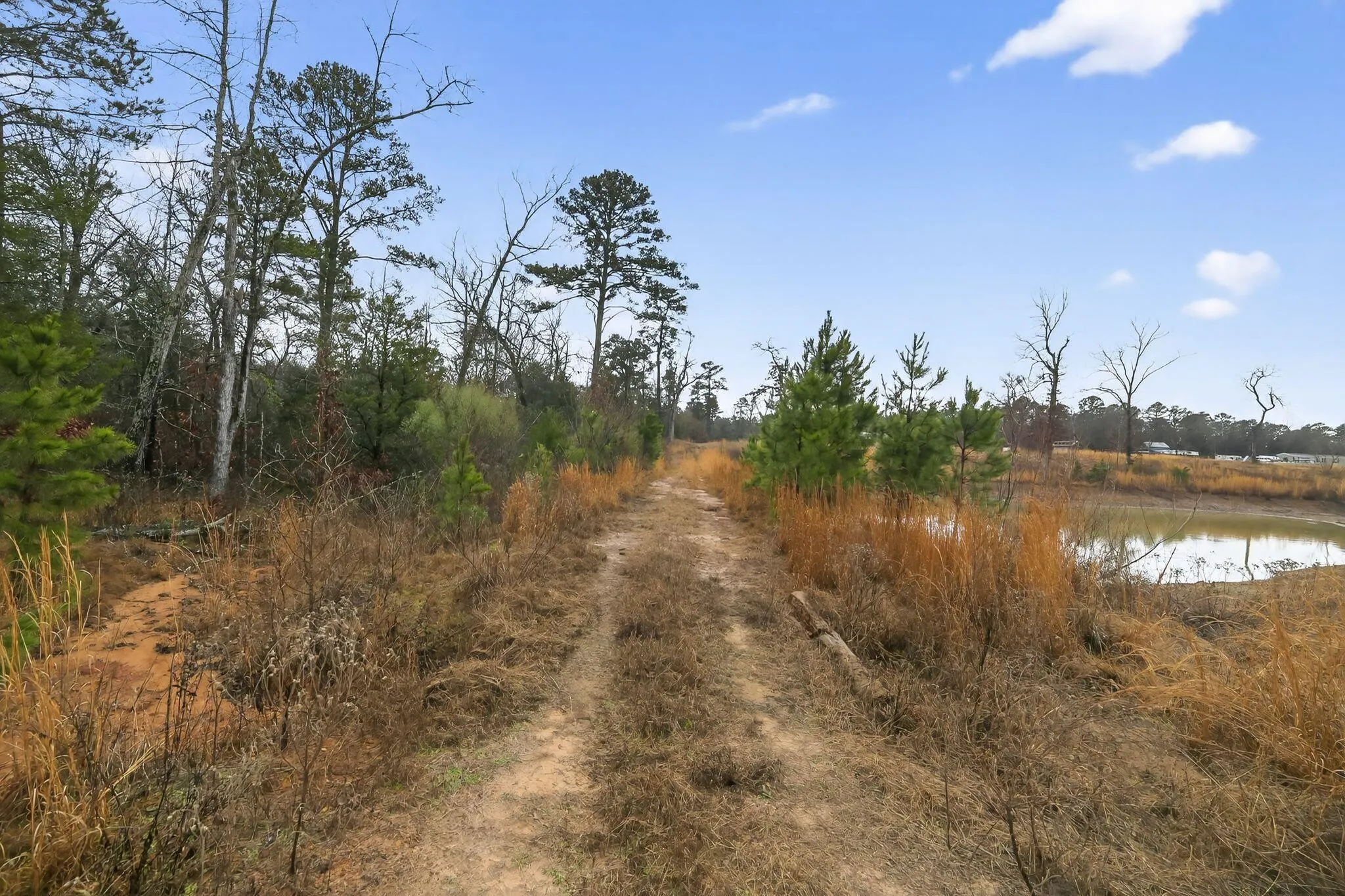 Unimproved Land For Sale in Wood County , 868 County Road 2920, Alba, Texas 75410, 0, 0, Garage spaces, 0 Sqft, built in 0, Price $99,000, mls#21159109, Real Estate Agent in Alba, Homes For Sale in Wood county, Homes For Sale in Alba, Realtor in Alba Texas, Real Estate Brokerage Independent Realty Texas, Luminita Cordes Realtor