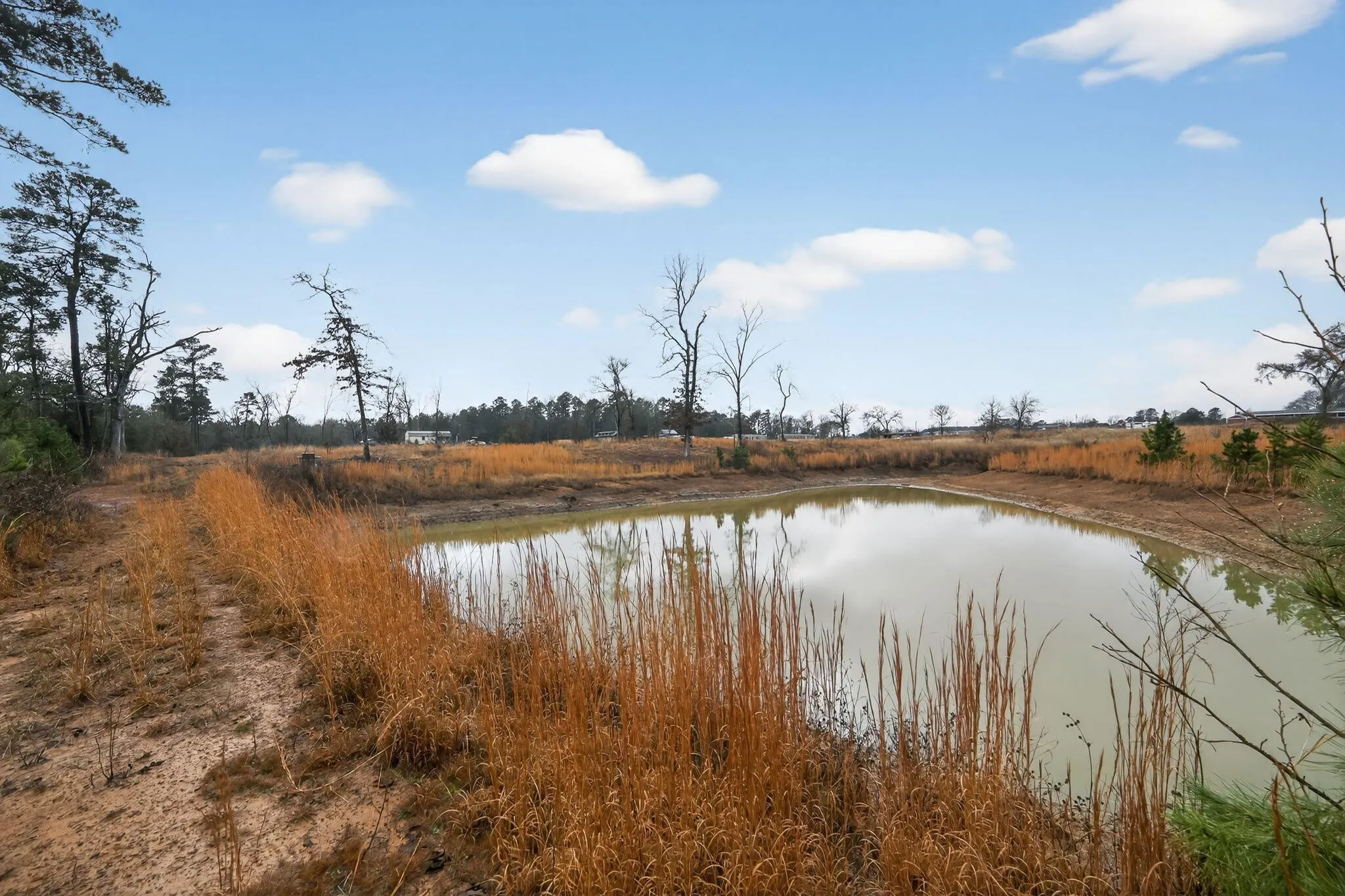 Unimproved Land For Sale in Wood County , 868 County Road 2920, Alba, Texas 75410, 0, 0, Garage spaces, 0 Sqft, built in 0, Price $99,000, mls#21159109, Real Estate Agent in Alba, Homes For Sale in Wood county, Homes For Sale in Alba, Realtor in Alba Texas, Real Estate Brokerage Independent Realty Texas, Luminita Cordes Realtor