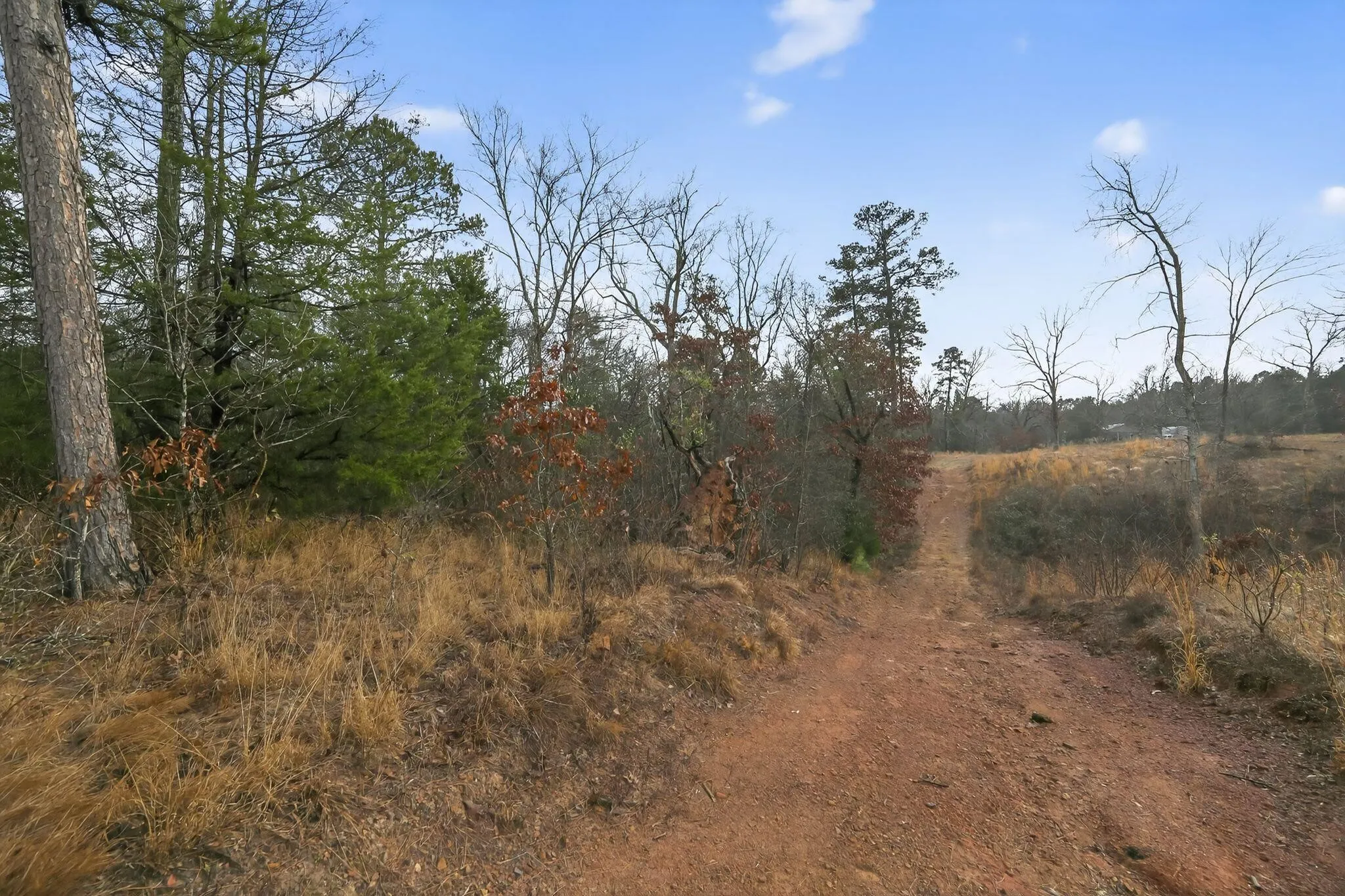 Unimproved Land For Sale in Wood County , 868 County Road 2920, Alba, Texas 75410, 0, 0, Garage spaces, 0 Sqft, built in 0, Price $99,000, mls#21159109, Real Estate Agent in Alba, Homes For Sale in Wood county, Homes For Sale in Alba, Realtor in Alba Texas, Real Estate Brokerage Independent Realty Texas, Luminita Cordes Realtor