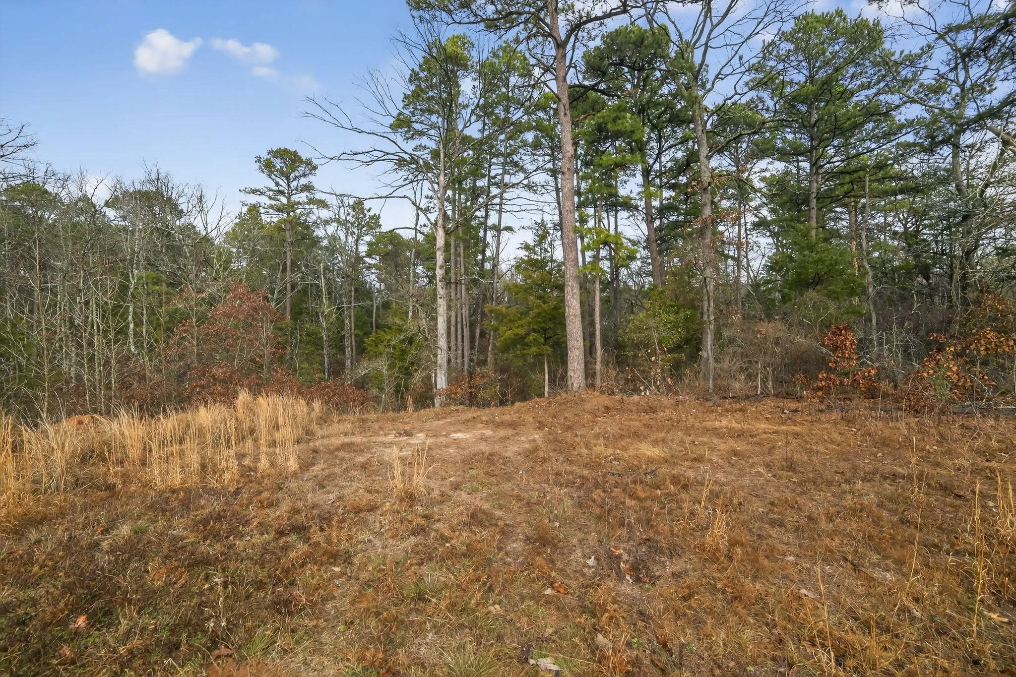 Unimproved Land For Sale in Wood County , 868 County Road 2920, Alba, Texas 75410, 0, 0, Garage spaces, 0 Sqft, built in 0, Price $99,000, mls#21159109, Real Estate Agent in Alba, Homes For Sale in Wood county, Homes For Sale in Alba, Realtor in Alba Texas, Real Estate Brokerage Independent Realty Texas, Luminita Cordes Realtor