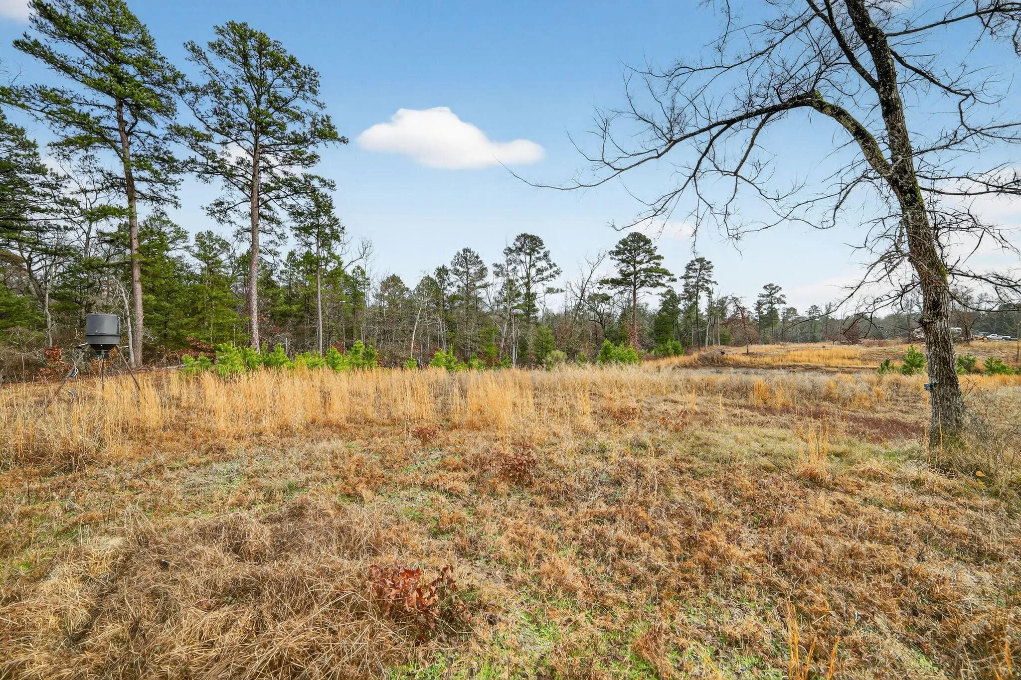 Unimproved Land For Sale in Wood County , 868 County Road 2920, Alba, Texas 75410, 0, 0, Garage spaces, 0 Sqft, built in 0, Price $99,000, mls#21159109, Real Estate Agent in Alba, Homes For Sale in Wood county, Homes For Sale in Alba, Realtor in Alba Texas, Real Estate Brokerage Independent Realty Texas, Luminita Cordes Realtor
