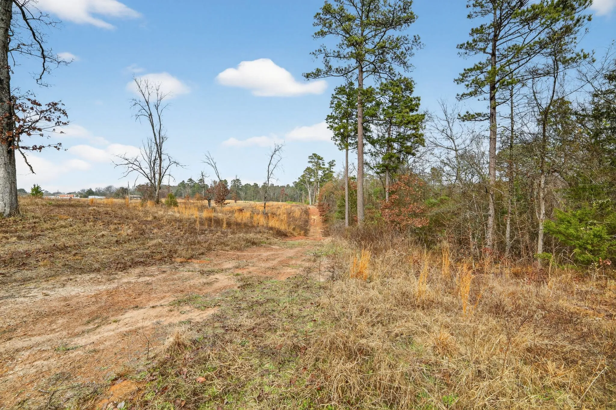 Unimproved Land For Sale in Wood County , 868 County Road 2920, Alba, Texas 75410, 0, 0, Garage spaces, 0 Sqft, built in 0, Price $99,000, mls#21159109, Real Estate Agent in Alba, Homes For Sale in Wood county, Homes For Sale in Alba, Realtor in Alba Texas, Real Estate Brokerage Independent Realty Texas, Luminita Cordes Realtor