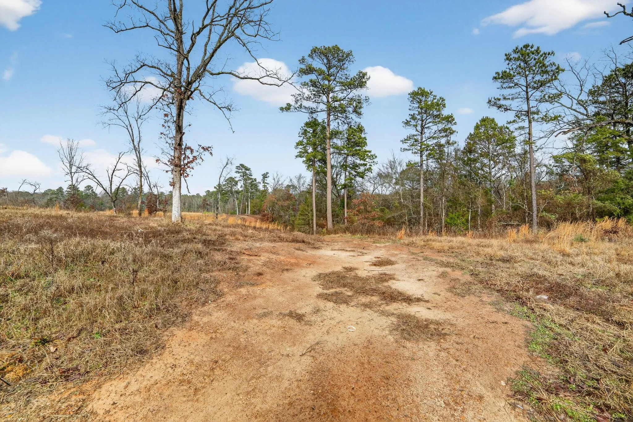 Unimproved Land For Sale in Wood County , 868 County Road 2920, Alba, Texas 75410, 0, 0, Garage spaces, 0 Sqft, built in 0, Price $99,000, mls#21159109, Real Estate Agent in Alba, Homes For Sale in Wood county, Homes For Sale in Alba, Realtor in Alba Texas, Real Estate Brokerage Independent Realty Texas, Luminita Cordes Realtor
