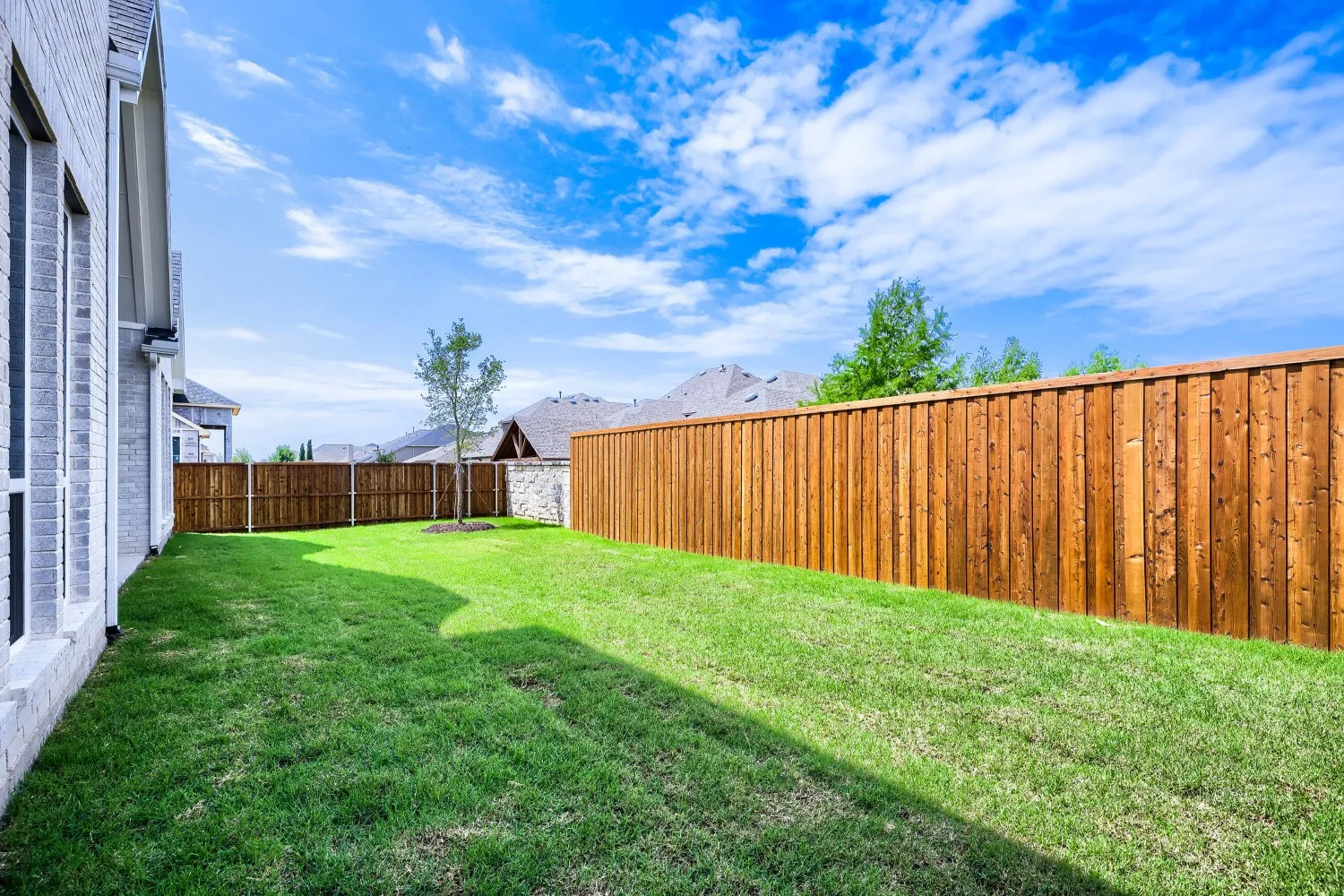 Landscaped backyard featuring a manicured lawn, a newly planted tree, and a stained wood privacy fence