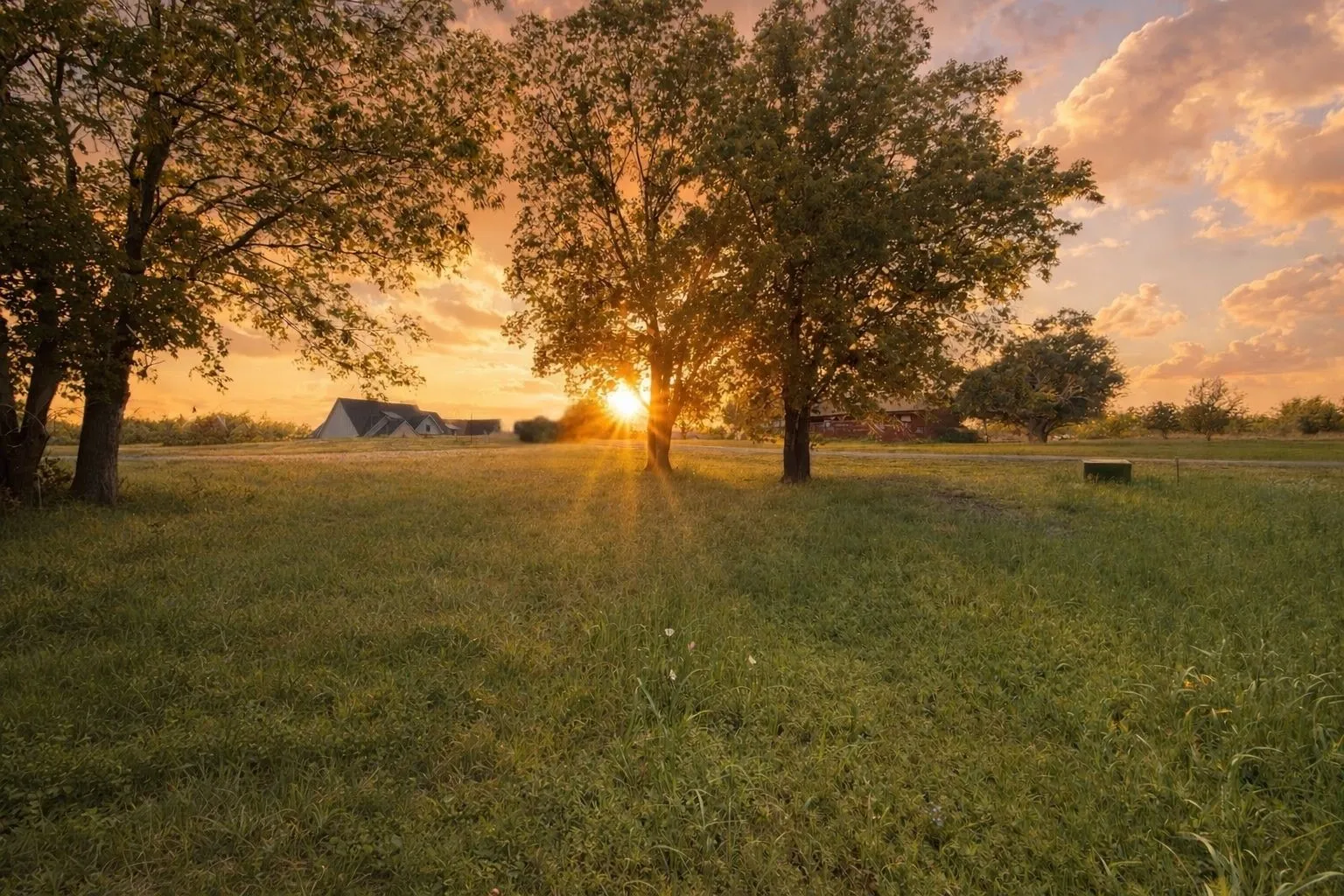 Unimproved Land For Sale in Navarro County , Lot 33 SE County Road 3122, Corsicana, Texas 75109, 0, 0, Garage spaces, 0 Sqft, built in 0, Price $185,000, mls#21153404, Real Estate Agent in Corsicana, Homes For Sale in Navarro county, Homes For Sale in Corsicana, Realtor in Corsicana Texas, Real Estate Brokerage Independent Realty Texas, Luminita Cordes Realtor