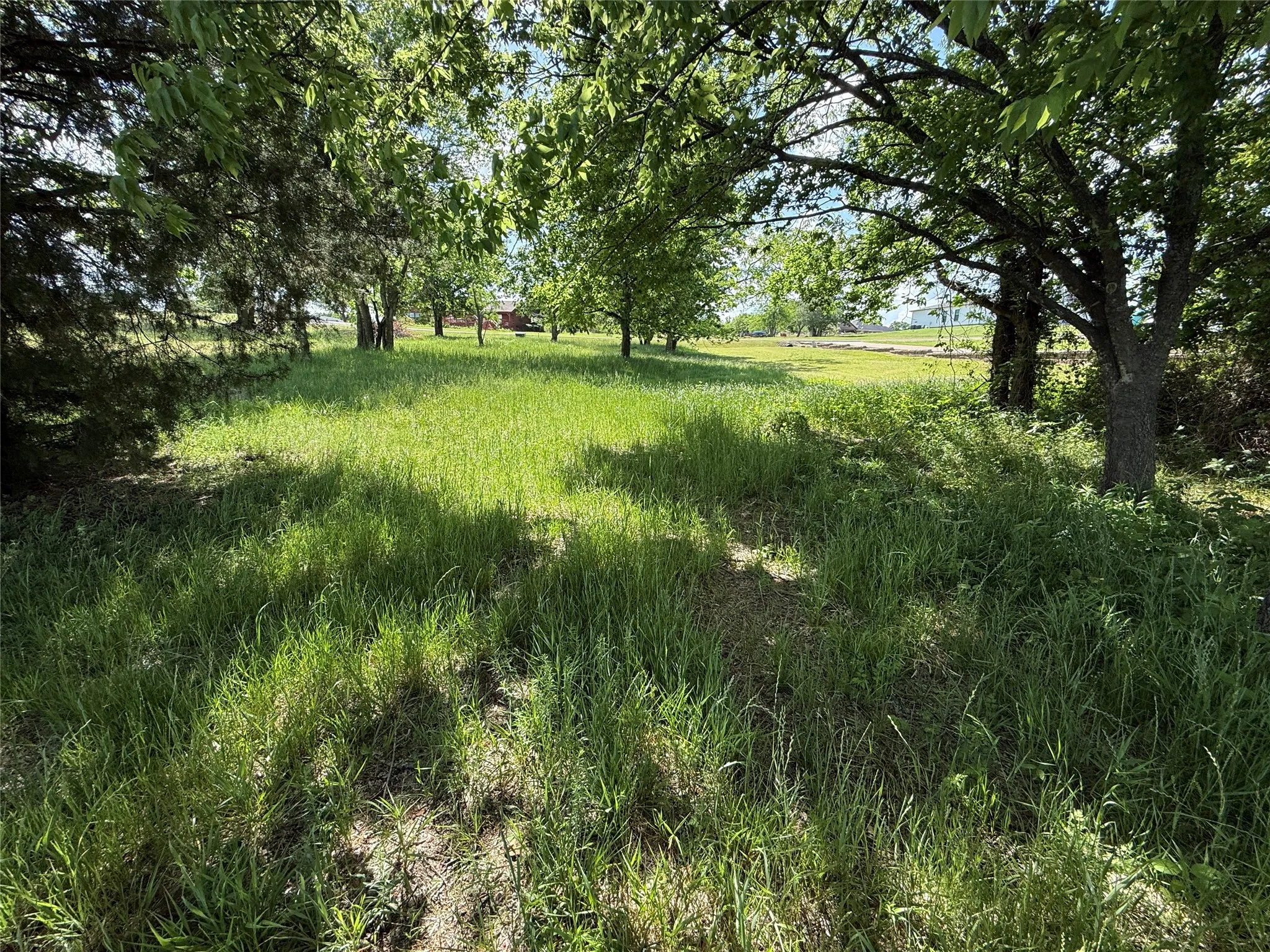 Unimproved Land For Sale in Navarro County , Lot 33 SE County Road 3122, Corsicana, Texas 75109, 0, 0, Garage spaces, 0 Sqft, built in 0, Price $185,000, mls#21153404, Real Estate Agent in Corsicana, Homes For Sale in Navarro county, Homes For Sale in Corsicana, Realtor in Corsicana Texas, Real Estate Brokerage Independent Realty Texas, Luminita Cordes Realtor