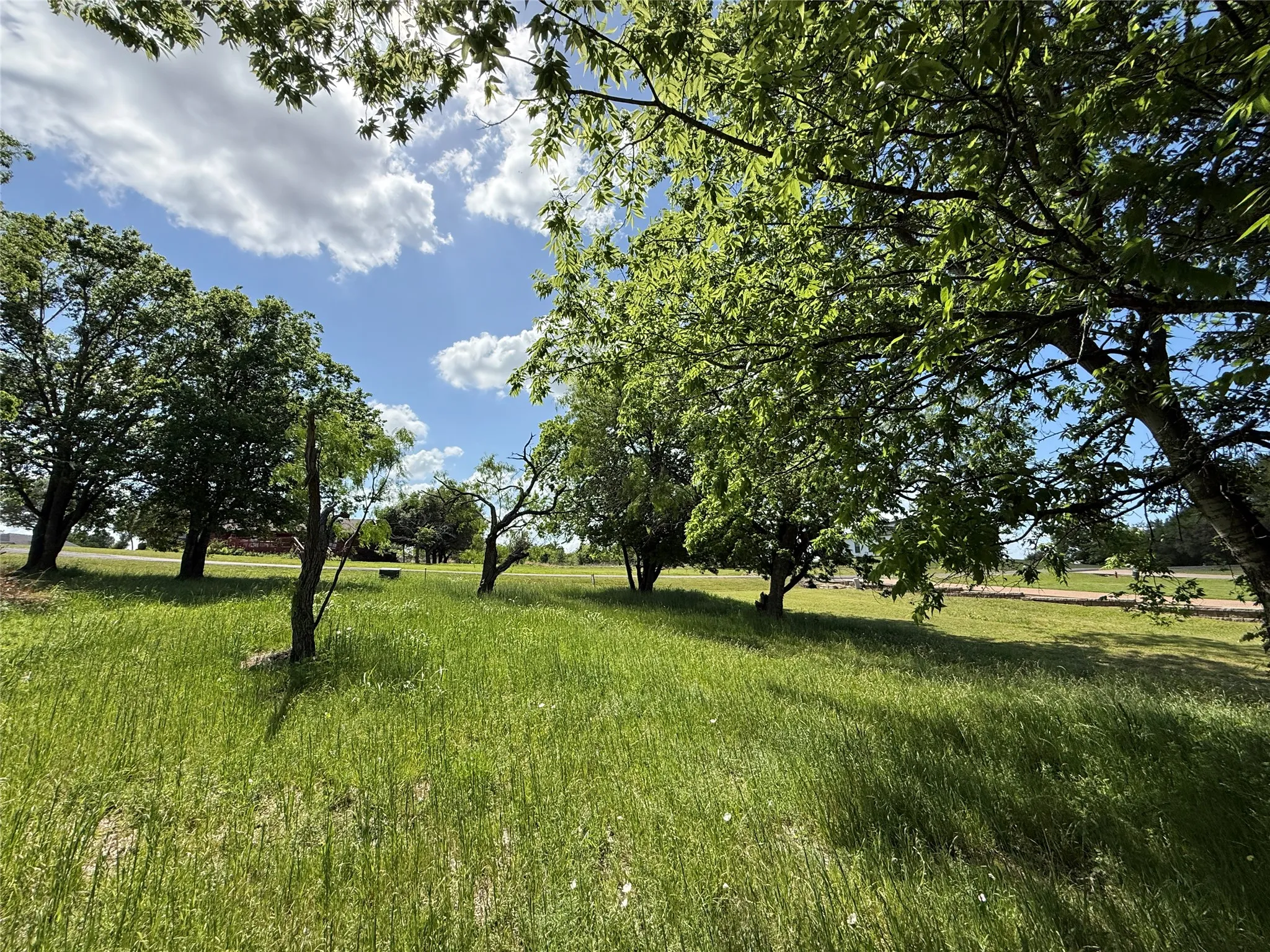 Unimproved Land For Sale in Navarro County , Lot 33 SE County Road 3122, Corsicana, Texas 75109, 0, 0, Garage spaces, 0 Sqft, built in 0, Price $185,000, mls#21153404, Real Estate Agent in Corsicana, Homes For Sale in Navarro county, Homes For Sale in Corsicana, Realtor in Corsicana Texas, Real Estate Brokerage Independent Realty Texas, Luminita Cordes Realtor