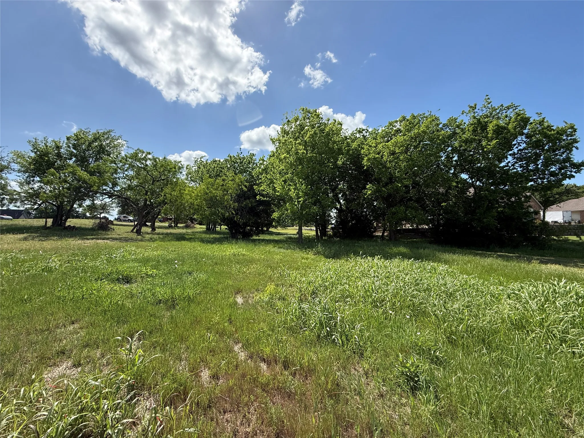 Unimproved Land For Sale in Navarro County , Lot 33 SE County Road 3122, Corsicana, Texas 75109, 0, 0, Garage spaces, 0 Sqft, built in 0, Price $185,000, mls#21153404, Real Estate Agent in Corsicana, Homes For Sale in Navarro county, Homes For Sale in Corsicana, Realtor in Corsicana Texas, Real Estate Brokerage Independent Realty Texas, Luminita Cordes Realtor