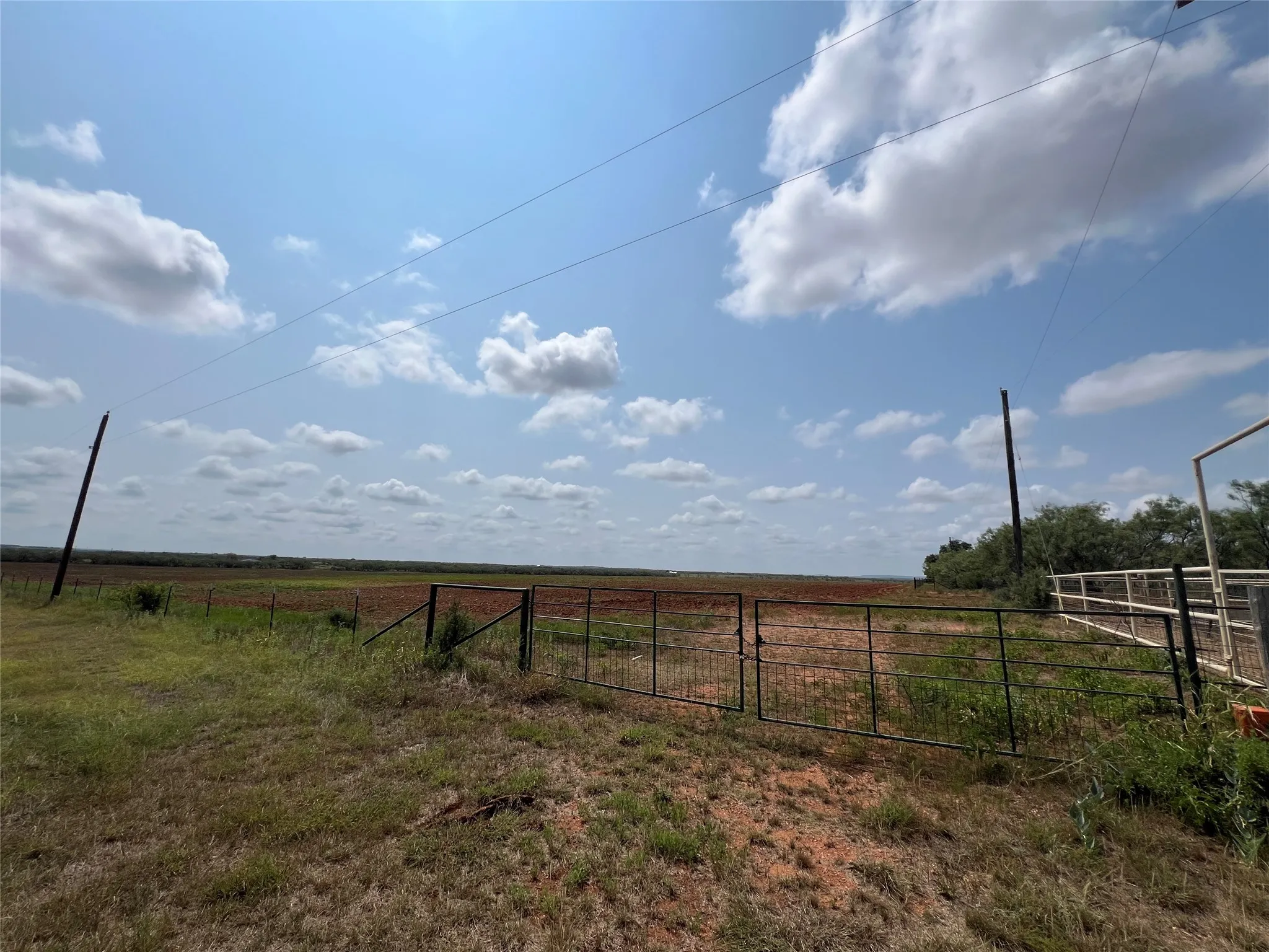 Unimproved Land For Sale in Taylor County , TBD FM 614, Ovalo, Texas 79541, 0, 0, Garage spaces, 0 Sqft, built in 0, Price $175,000, mls#21159240, Real Estate Agent in Ovalo, Homes For Sale in Taylor county, Homes For Sale in Ovalo, Realtor in Ovalo Texas, Real Estate Brokerage Independent Realty Texas, Luminita Cordes Realtor