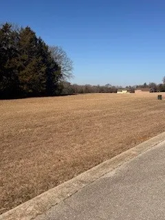 Unimproved Land For Sale in Grayson County , TBD Dublin Circle, Gordonville, Texas 76245, 0, 0, Garage spaces, 0 Sqft, built in 0, mls#21158573, Real Estate Agent in Gordonville, Homes For Sale in Grayson county, Homes For Sale in Gordonville, Realtor in Gordonville Texas, Real Estate Brokerage Independent Realty Texas, Luminita Cordes Realtor