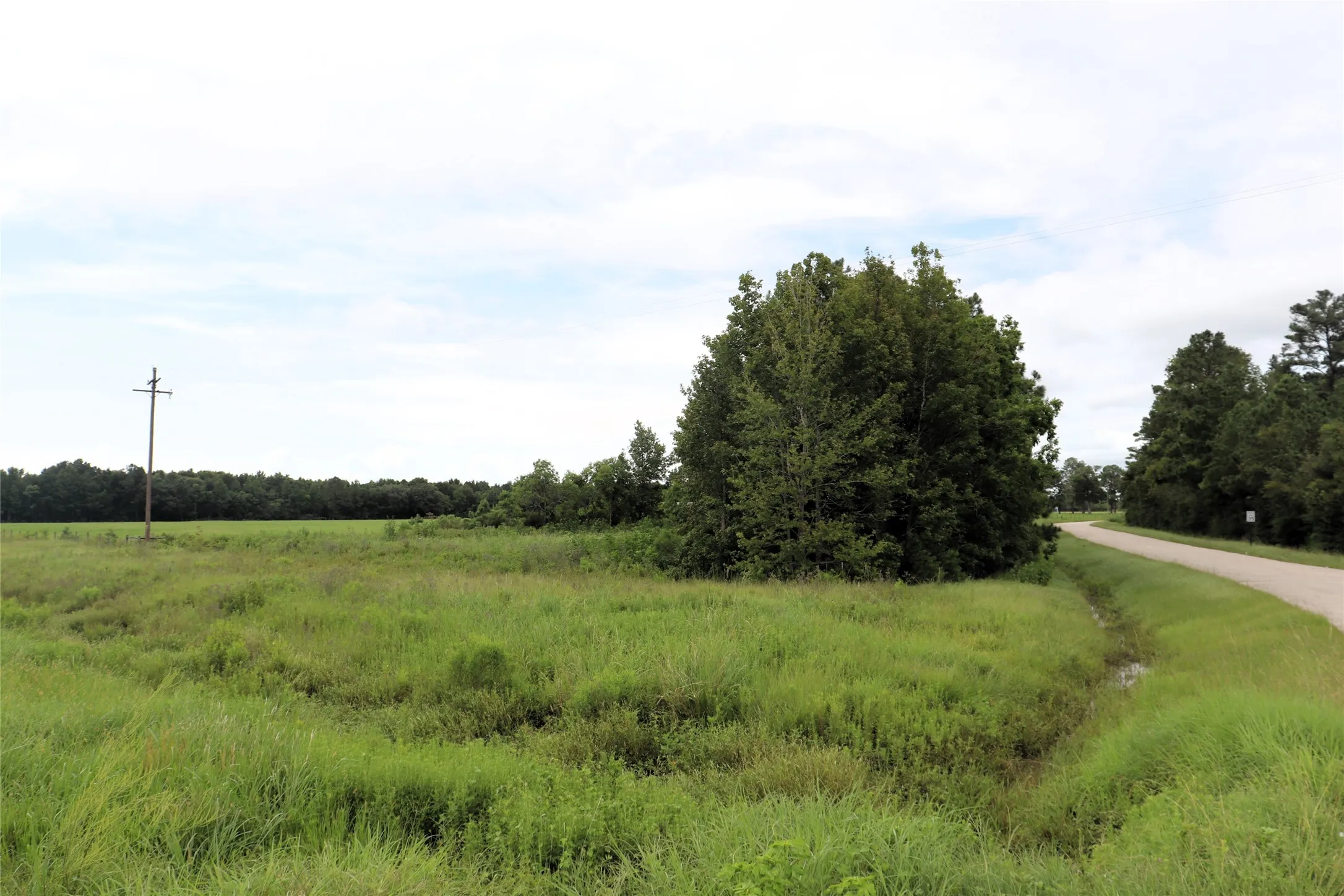 Unimproved Land For Sale in Liberty County , 127 County Road 190, Liberty, Texas 77575, 0, 0, Garage spaces, 0 Sqft, built in 0, mls#21156842, Real Estate Agent in Liberty, Homes For Sale in Liberty county, Homes For Sale in Liberty, Realtor in Liberty Texas, Real Estate Brokerage Independent Realty Texas, Luminita Cordes Realtor