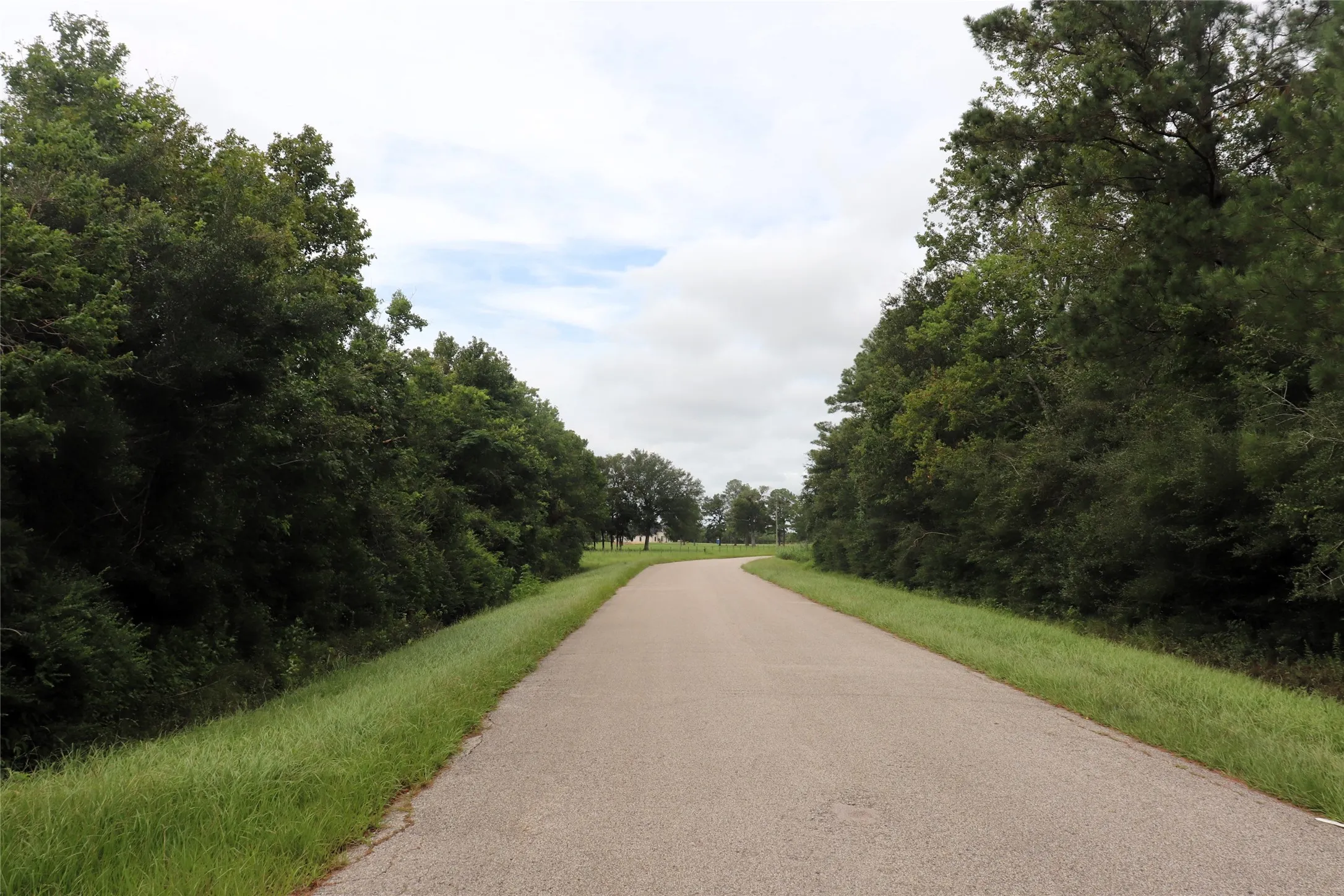 Unimproved Land For Sale in Liberty County , 127 County Road 190, Liberty, Texas 77575, 0, 0, Garage spaces, 0 Sqft, built in 0, mls#21156842, Real Estate Agent in Liberty, Homes For Sale in Liberty county, Homes For Sale in Liberty, Realtor in Liberty Texas, Real Estate Brokerage Independent Realty Texas, Luminita Cordes Realtor