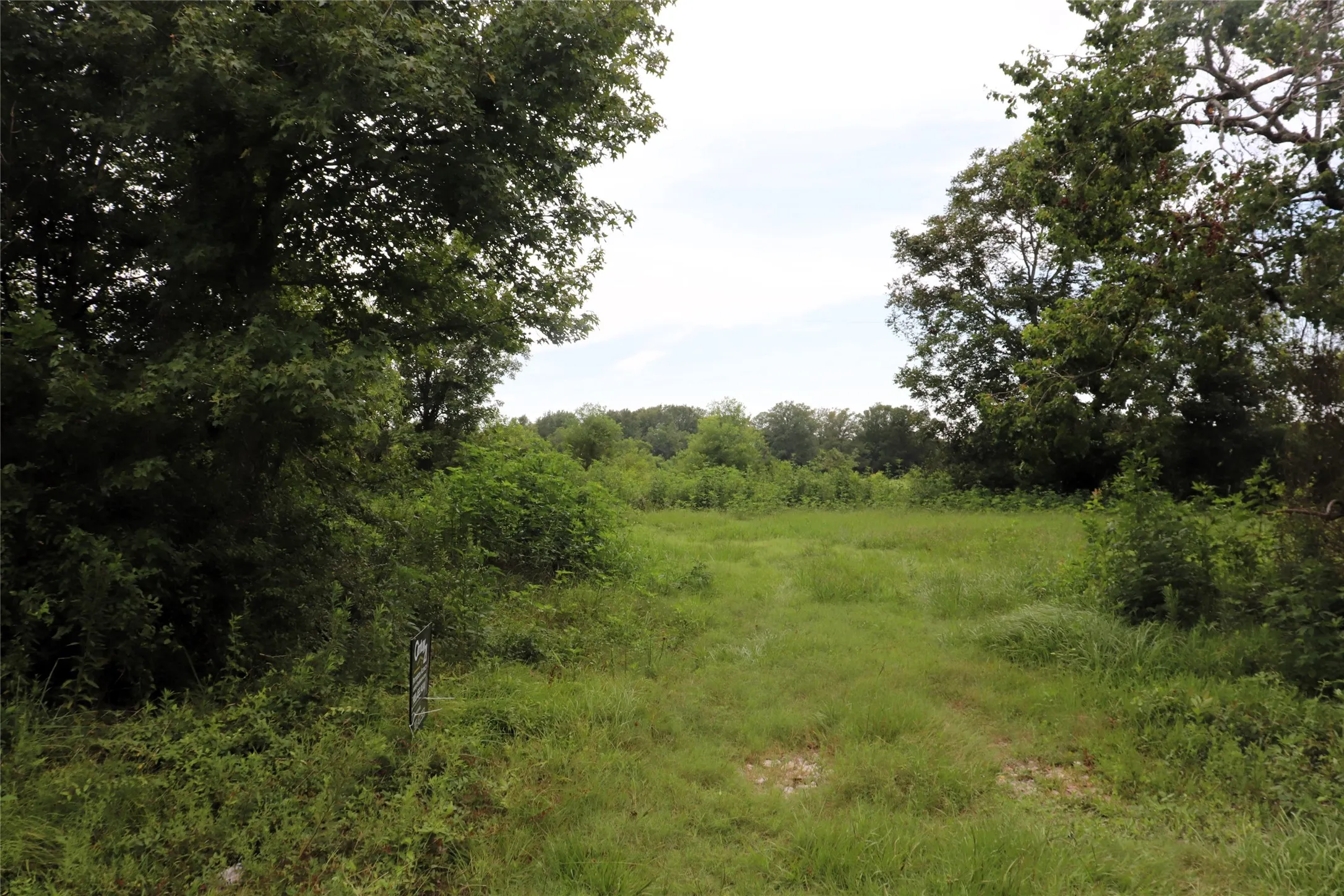 Unimproved Land For Sale in Liberty County , 127 County Road 190, Liberty, Texas 77575, 0, 0, Garage spaces, 0 Sqft, built in 0, mls#21156842, Real Estate Agent in Liberty, Homes For Sale in Liberty county, Homes For Sale in Liberty, Realtor in Liberty Texas, Real Estate Brokerage Independent Realty Texas, Luminita Cordes Realtor