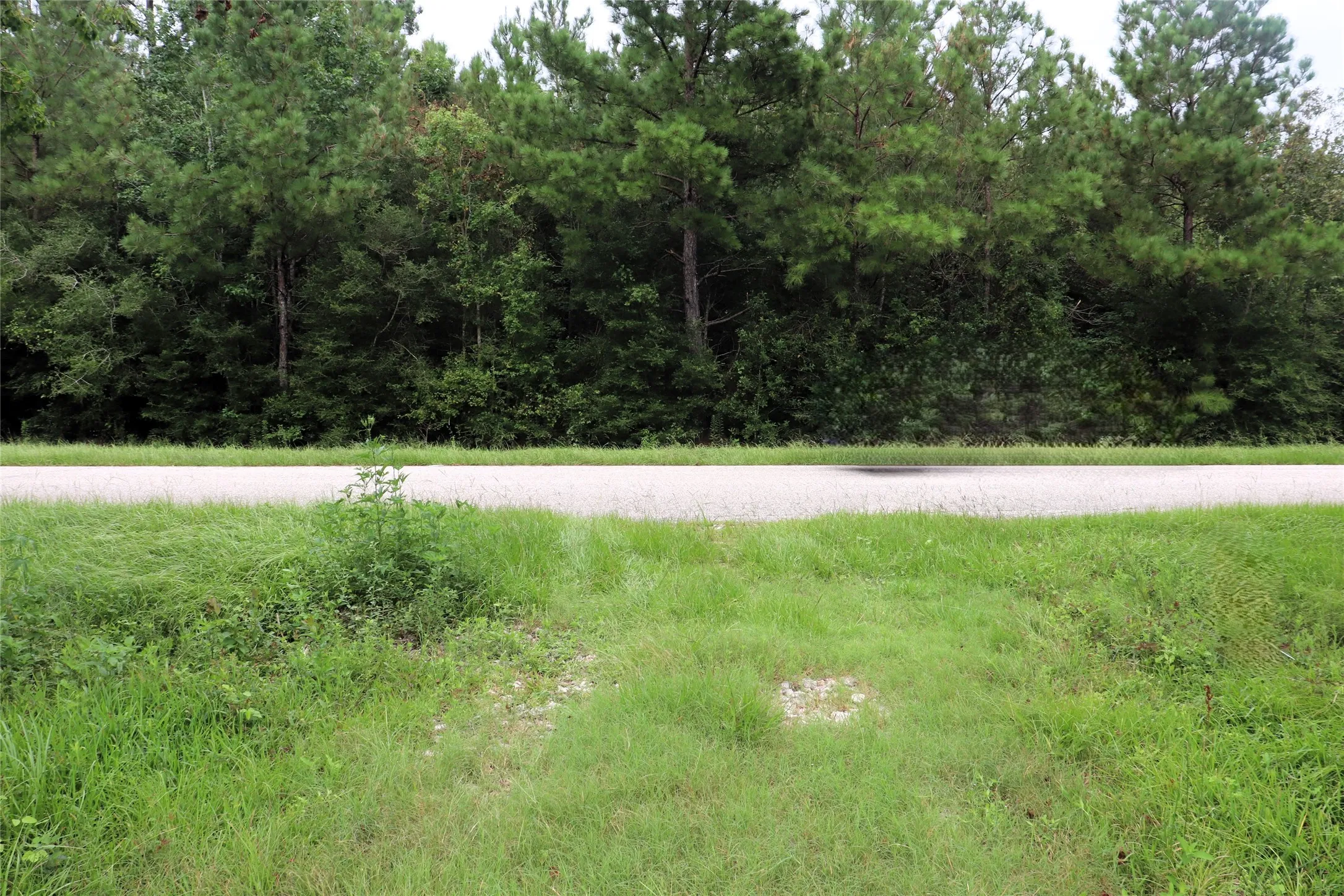 Unimproved Land For Sale in Liberty County , 127 County Road 190, Liberty, Texas 77575, 0, 0, Garage spaces, 0 Sqft, built in 0, mls#21156842, Real Estate Agent in Liberty, Homes For Sale in Liberty county, Homes For Sale in Liberty, Realtor in Liberty Texas, Real Estate Brokerage Independent Realty Texas, Luminita Cordes Realtor