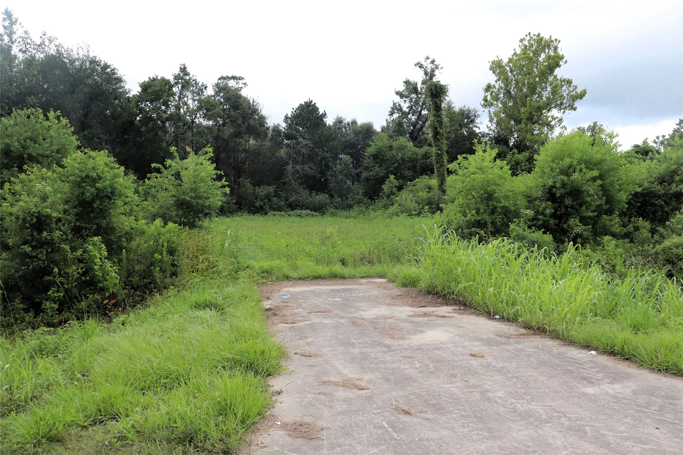Unimproved Land For Sale in Liberty County , 2.8 ac Hwy 90, Devers, Texas 77575, 0, 0, Garage spaces, 0 Sqft, built in 0, Price $174,500, mls#21156839, Real Estate Agent in Devers, Homes For Sale in Liberty county, Homes For Sale in Devers, Realtor in Devers Texas, Real Estate Brokerage Independent Realty Texas, Luminita Cordes Realtor