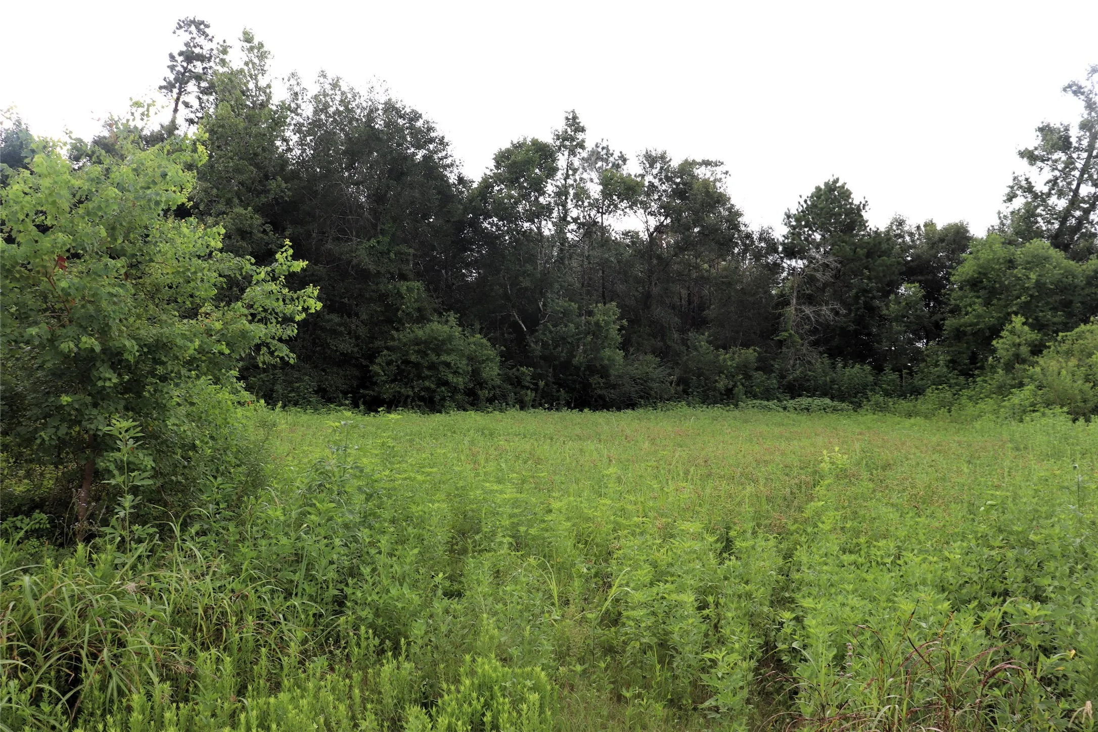 Unimproved Land For Sale in Liberty County , 2.8 ac Hwy 90, Devers, Texas 77575, 0, 0, Garage spaces, 0 Sqft, built in 0, Price $174,500, mls#21156839, Real Estate Agent in Devers, Homes For Sale in Liberty county, Homes For Sale in Devers, Realtor in Devers Texas, Real Estate Brokerage Independent Realty Texas, Luminita Cordes Realtor