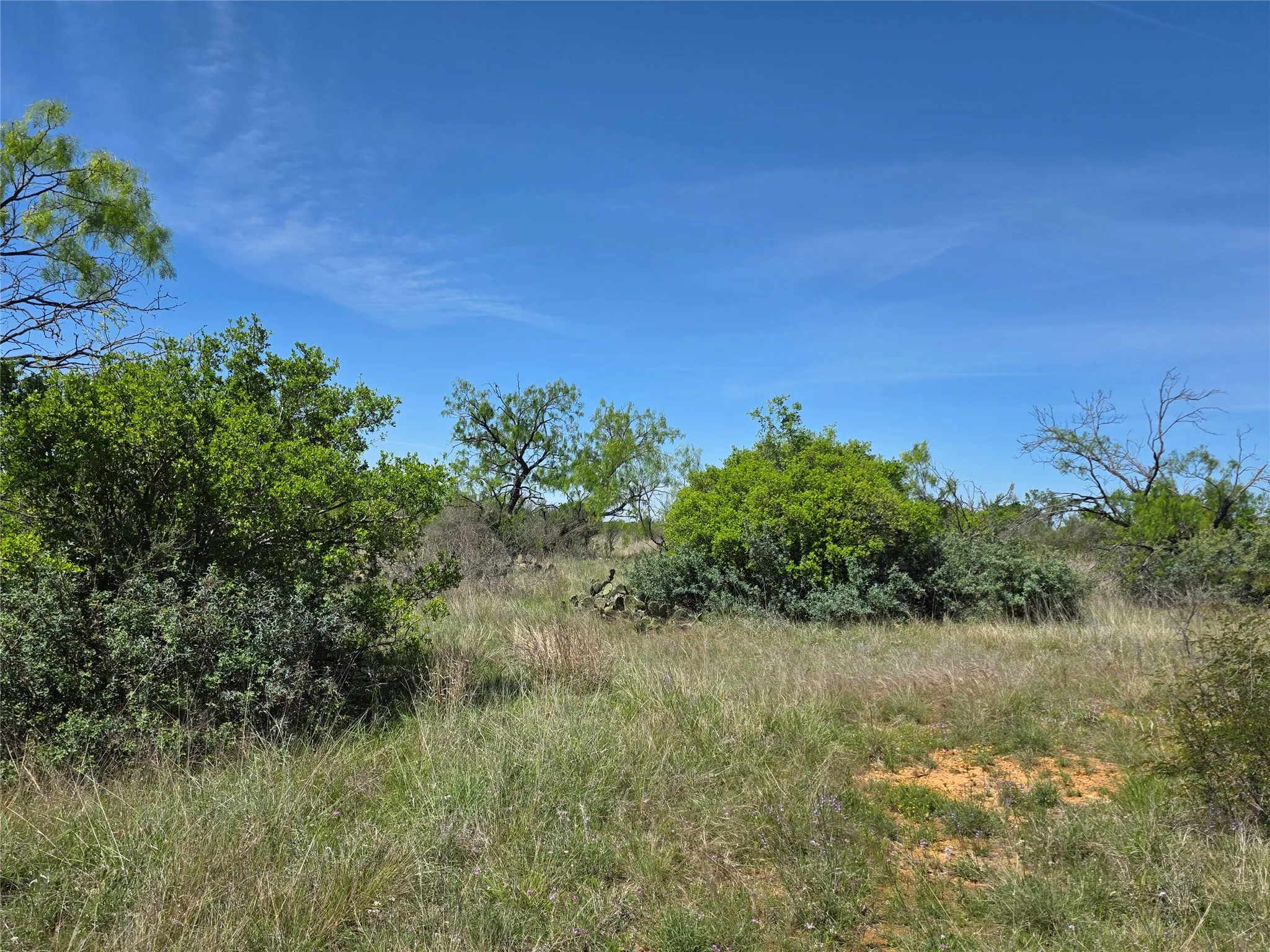Ranch For Sale in San Saba County , 10315 FM 45, Richland Springs, Texas 76872, 0, 0, Garage spaces, 0 Sqft, built in 0, Price $352,578, mls#21159878, Real Estate Agent in Richland Springs, Homes For Sale in San Saba county, Homes For Sale in Richland Springs, Realtor in Richland Springs Texas, Real Estate Brokerage Independent Realty Texas, Luminita Cordes Realtor