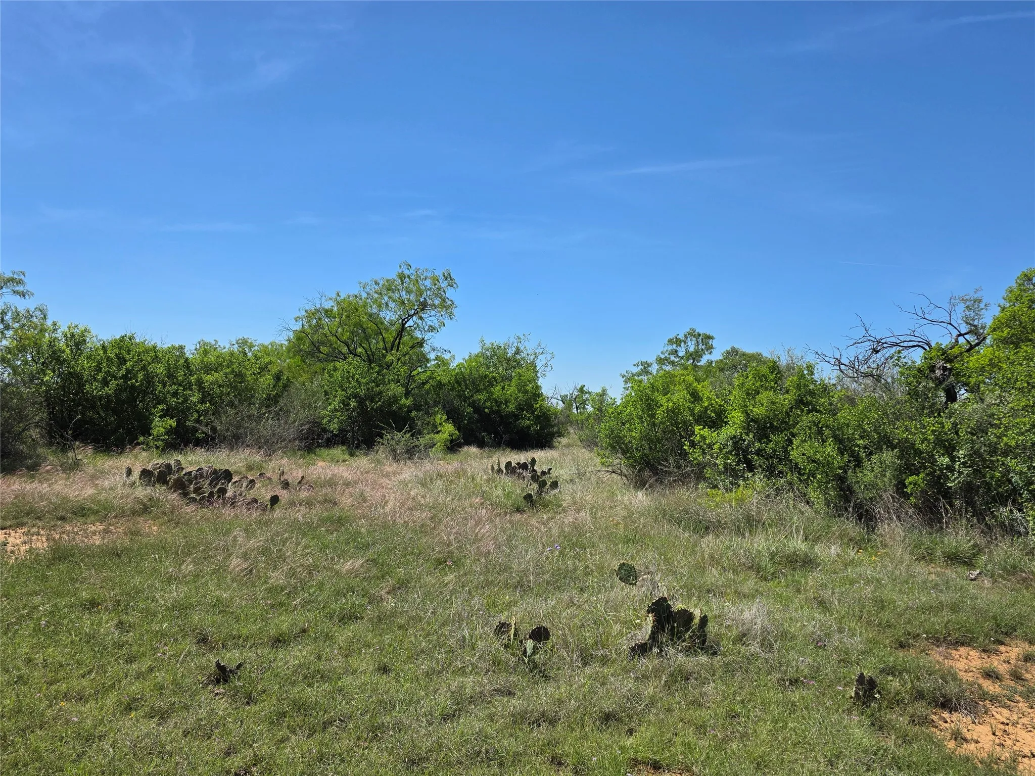 Ranch For Sale in San Saba County , 10315 FM 45, Richland Springs, Texas 76872, 0, 0, Garage spaces, 0 Sqft, built in 0, Price $352,578, mls#21159878, Real Estate Agent in Richland Springs, Homes For Sale in San Saba county, Homes For Sale in Richland Springs, Realtor in Richland Springs Texas, Real Estate Brokerage Independent Realty Texas, Luminita Cordes Realtor