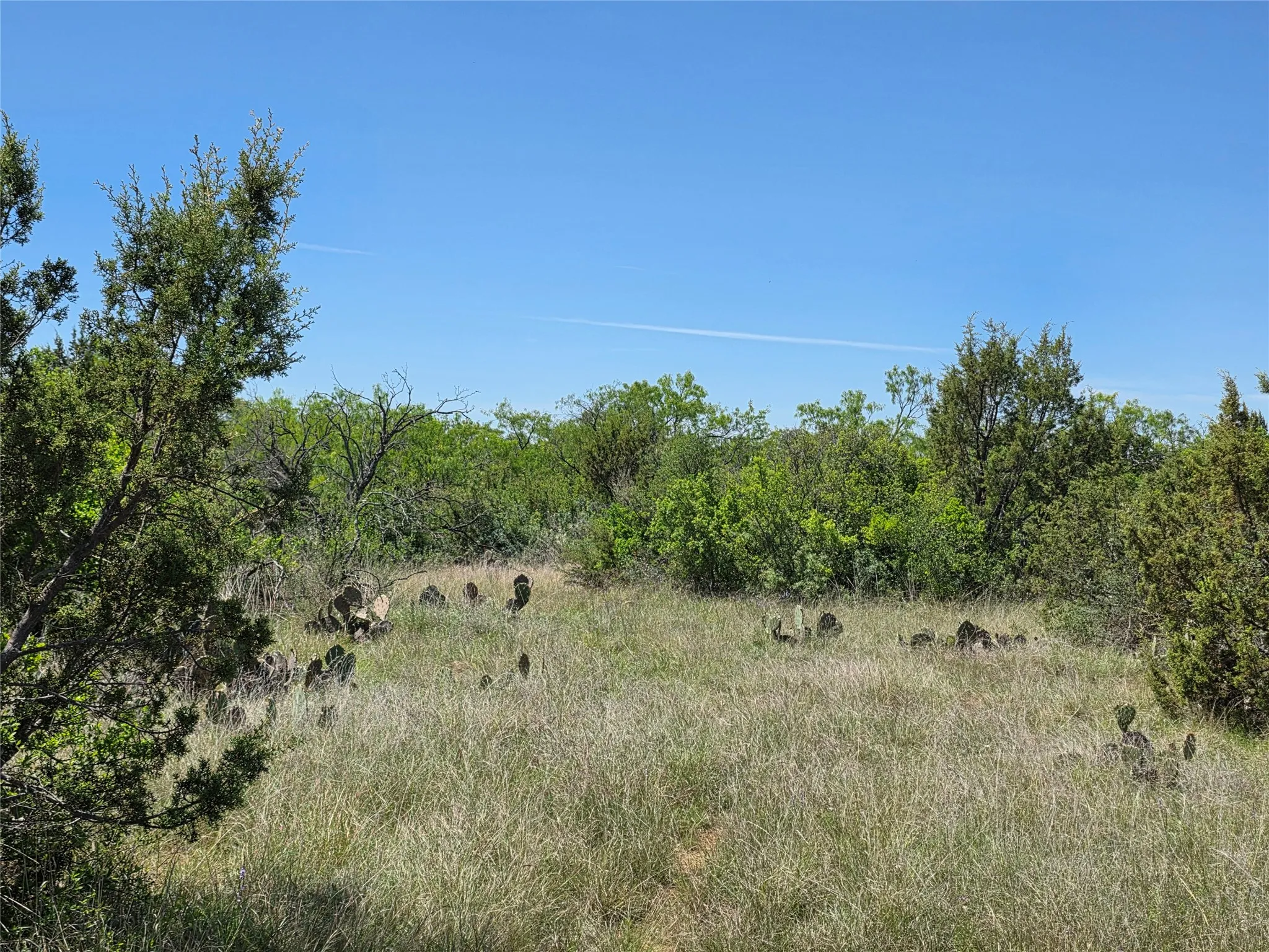 Ranch For Sale in San Saba County , 10315 FM 45, Richland Springs, Texas 76872, 0, 0, Garage spaces, 0 Sqft, built in 0, Price $352,578, mls#21159878, Real Estate Agent in Richland Springs, Homes For Sale in San Saba county, Homes For Sale in Richland Springs, Realtor in Richland Springs Texas, Real Estate Brokerage Independent Realty Texas, Luminita Cordes Realtor