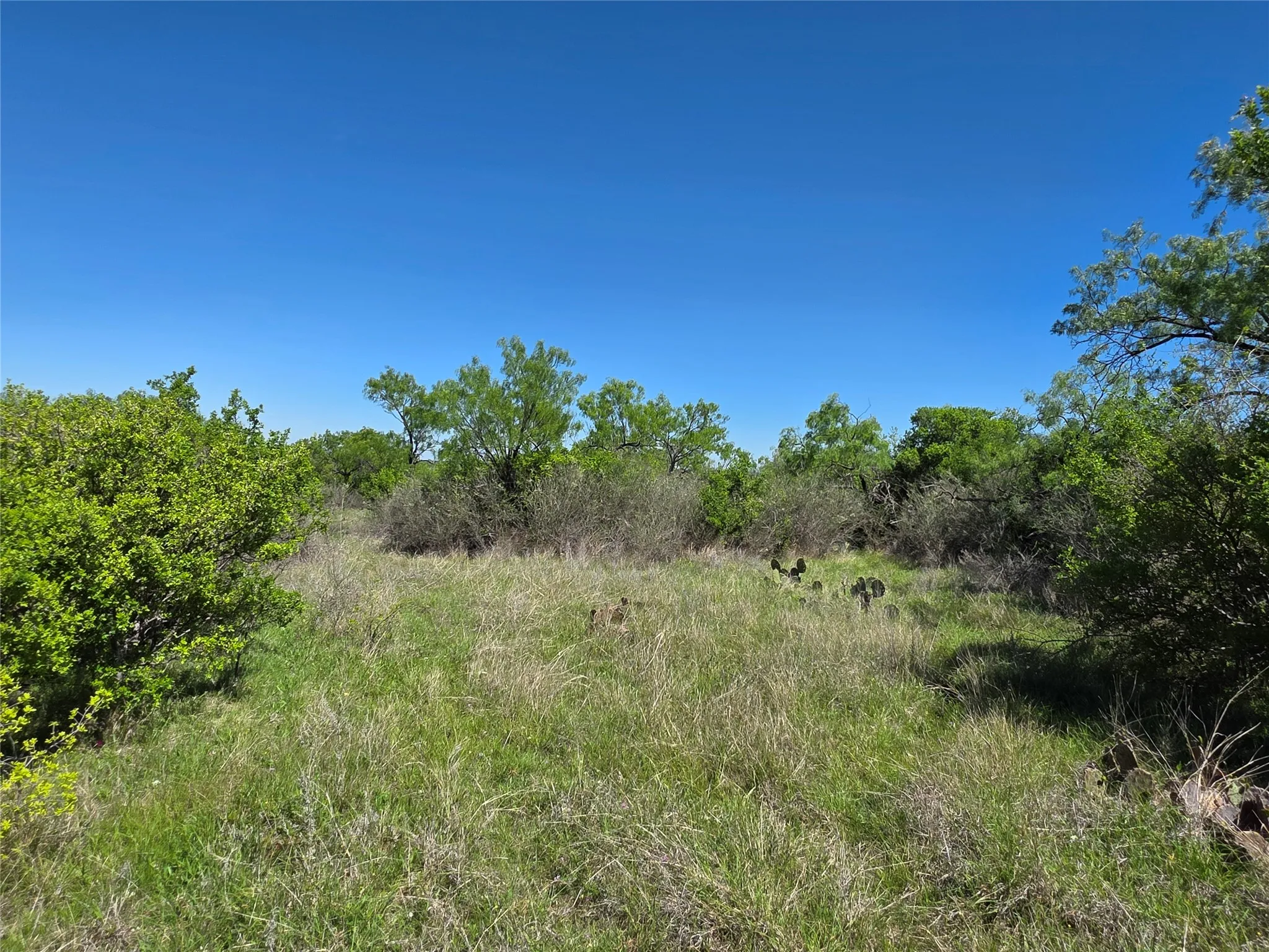 Ranch For Sale in San Saba County , 10315 FM 45, Richland Springs, Texas 76872, 0, 0, Garage spaces, 0 Sqft, built in 0, Price $352,578, mls#21159878, Real Estate Agent in Richland Springs, Homes For Sale in San Saba county, Homes For Sale in Richland Springs, Realtor in Richland Springs Texas, Real Estate Brokerage Independent Realty Texas, Luminita Cordes Realtor