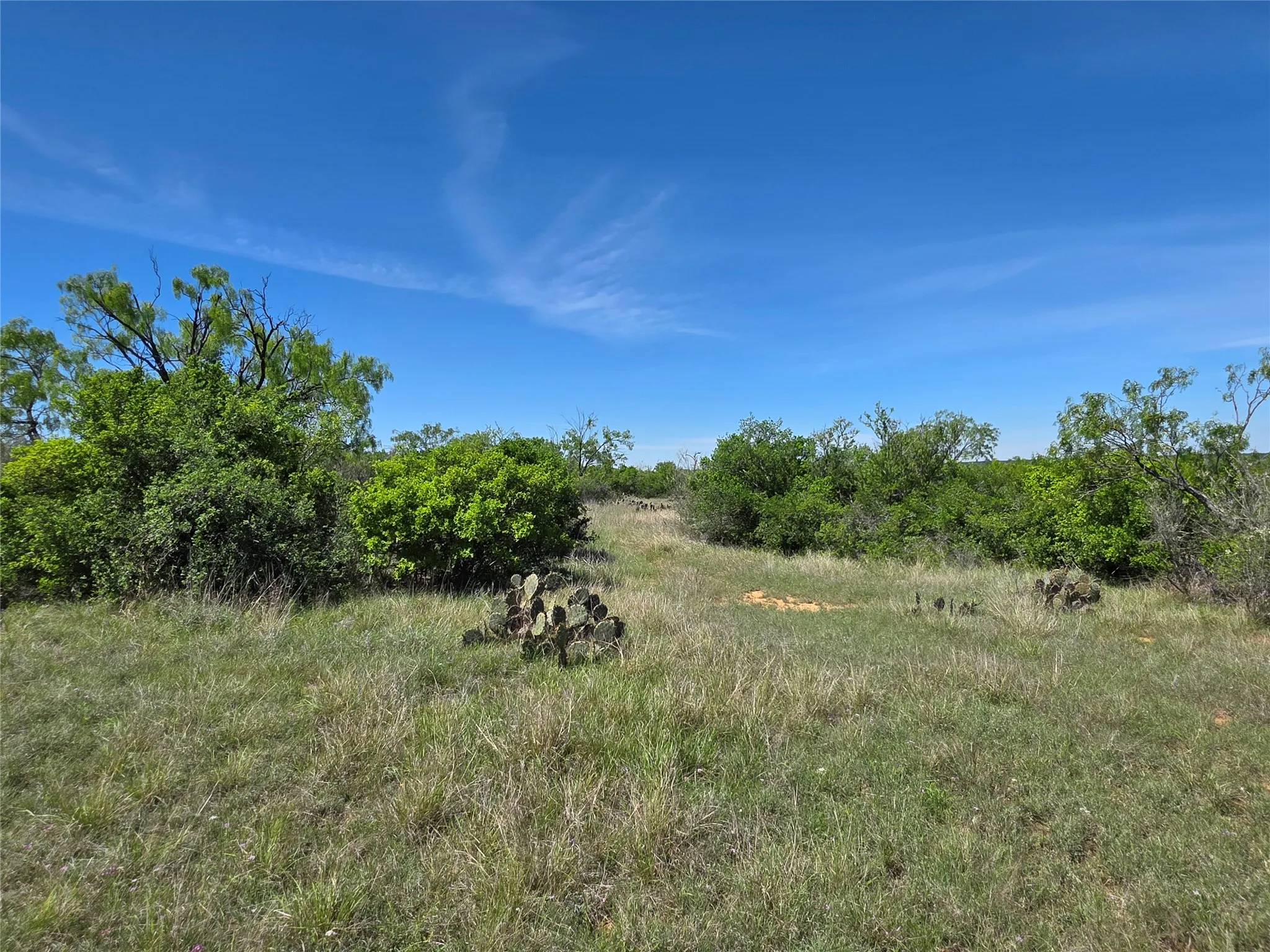 Ranch For Sale in San Saba County , 10315 FM 45, Richland Springs, Texas 76872, 0, 0, Garage spaces, 0 Sqft, built in 0, Price $352,578, mls#21159878, Real Estate Agent in Richland Springs, Homes For Sale in San Saba county, Homes For Sale in Richland Springs, Realtor in Richland Springs Texas, Real Estate Brokerage Independent Realty Texas, Luminita Cordes Realtor