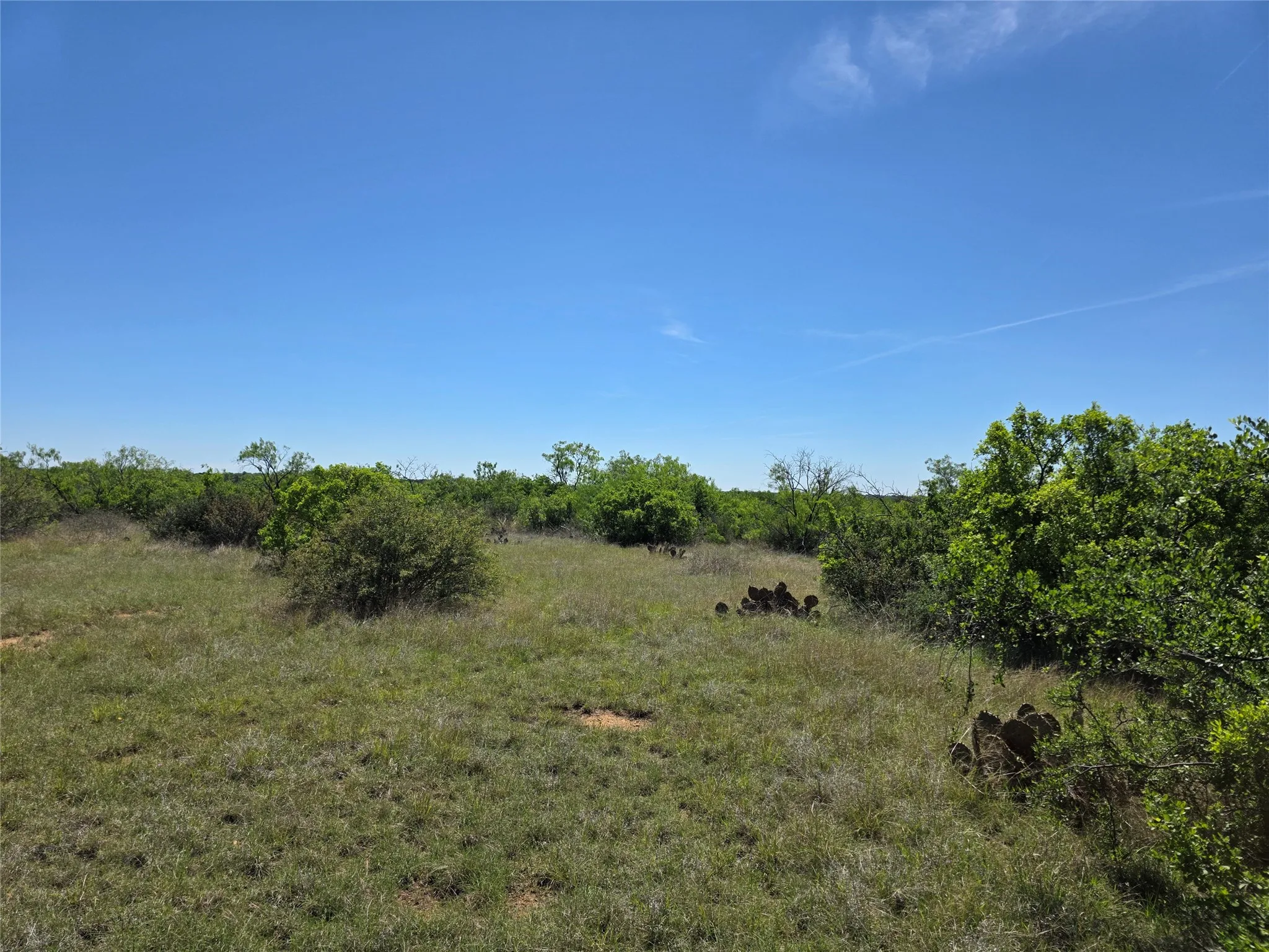 Ranch For Sale in San Saba County , 10315 FM 45, Richland Springs, Texas 76872, 0, 0, Garage spaces, 0 Sqft, built in 0, Price $352,578, mls#21159878, Real Estate Agent in Richland Springs, Homes For Sale in San Saba county, Homes For Sale in Richland Springs, Realtor in Richland Springs Texas, Real Estate Brokerage Independent Realty Texas, Luminita Cordes Realtor