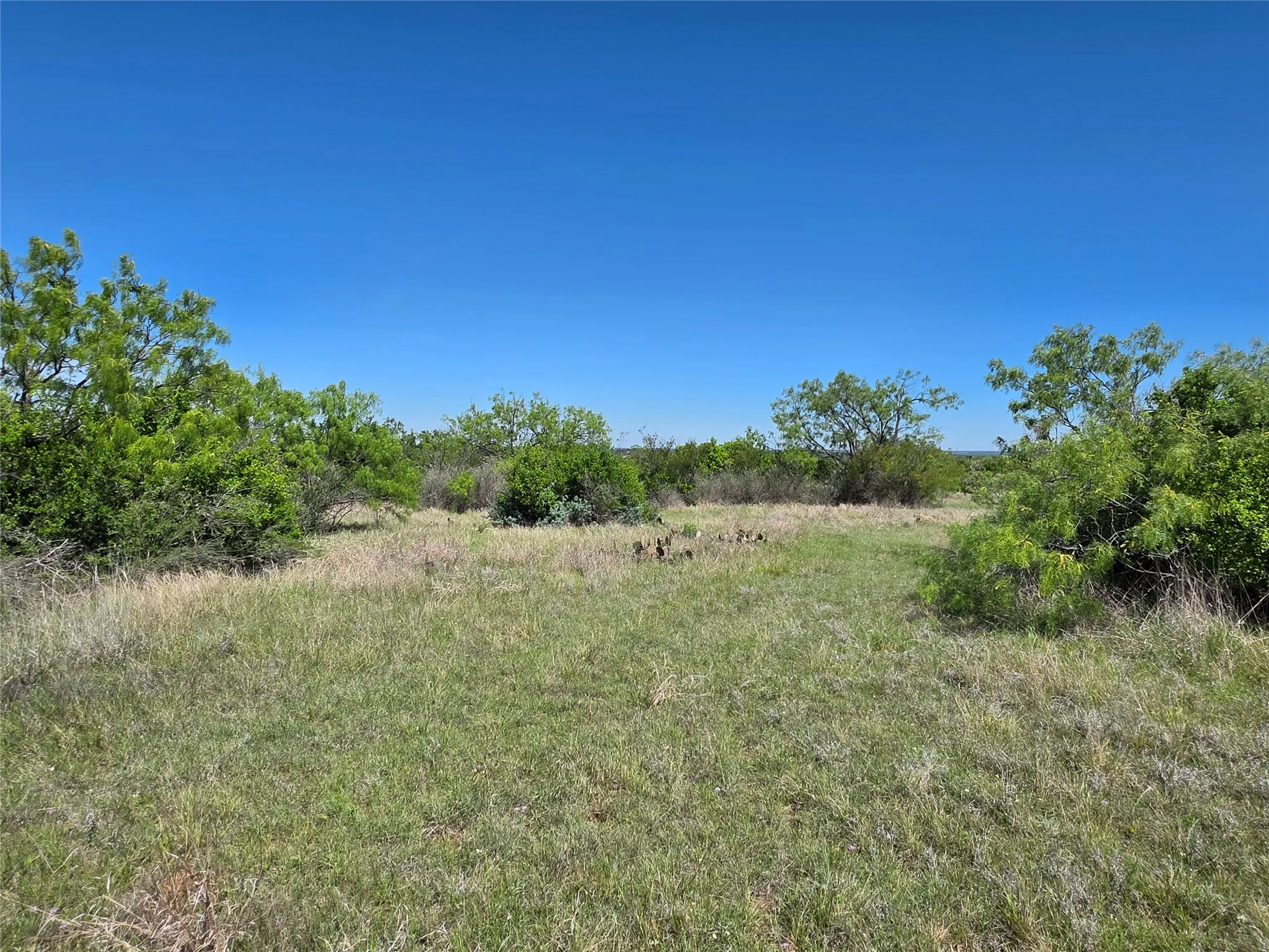 Ranch For Sale in San Saba County , 10315 FM 45, Richland Springs, Texas 76872, 0, 0, Garage spaces, 0 Sqft, built in 0, Price $352,578, mls#21159878, Real Estate Agent in Richland Springs, Homes For Sale in San Saba county, Homes For Sale in Richland Springs, Realtor in Richland Springs Texas, Real Estate Brokerage Independent Realty Texas, Luminita Cordes Realtor