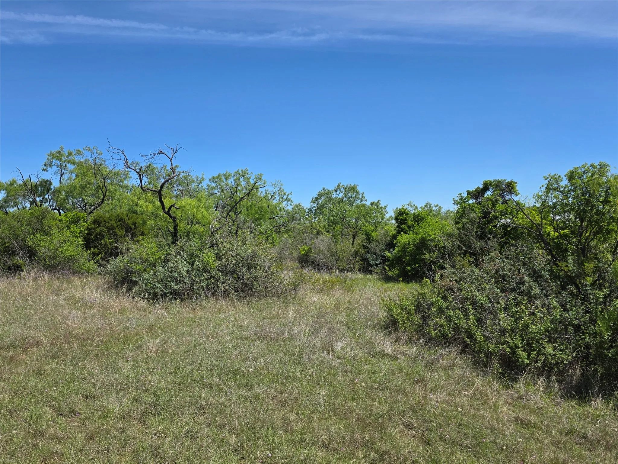 Ranch For Sale in San Saba County , 10315 FM 45, Richland Springs, Texas 76872, 0, 0, Garage spaces, 0 Sqft, built in 0, Price $352,578, mls#21159878, Real Estate Agent in Richland Springs, Homes For Sale in San Saba county, Homes For Sale in Richland Springs, Realtor in Richland Springs Texas, Real Estate Brokerage Independent Realty Texas, Luminita Cordes Realtor