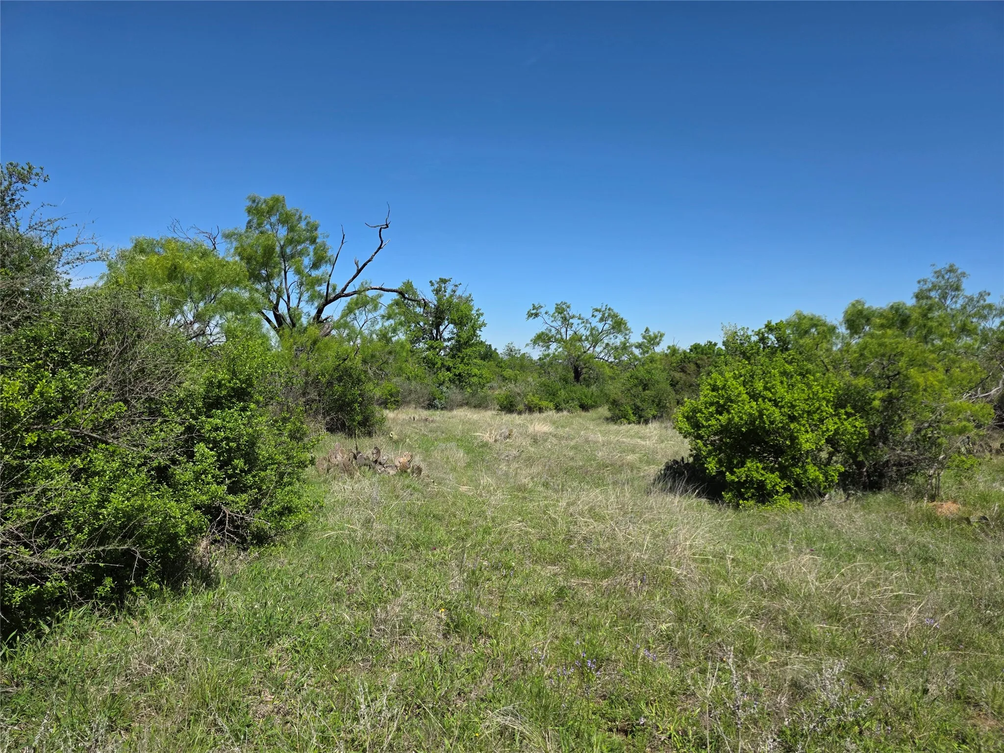 Ranch For Sale in San Saba County , 10315 FM 45, Richland Springs, Texas 76872, 0, 0, Garage spaces, 0 Sqft, built in 0, Price $352,578, mls#21159878, Real Estate Agent in Richland Springs, Homes For Sale in San Saba county, Homes For Sale in Richland Springs, Realtor in Richland Springs Texas, Real Estate Brokerage Independent Realty Texas, Luminita Cordes Realtor