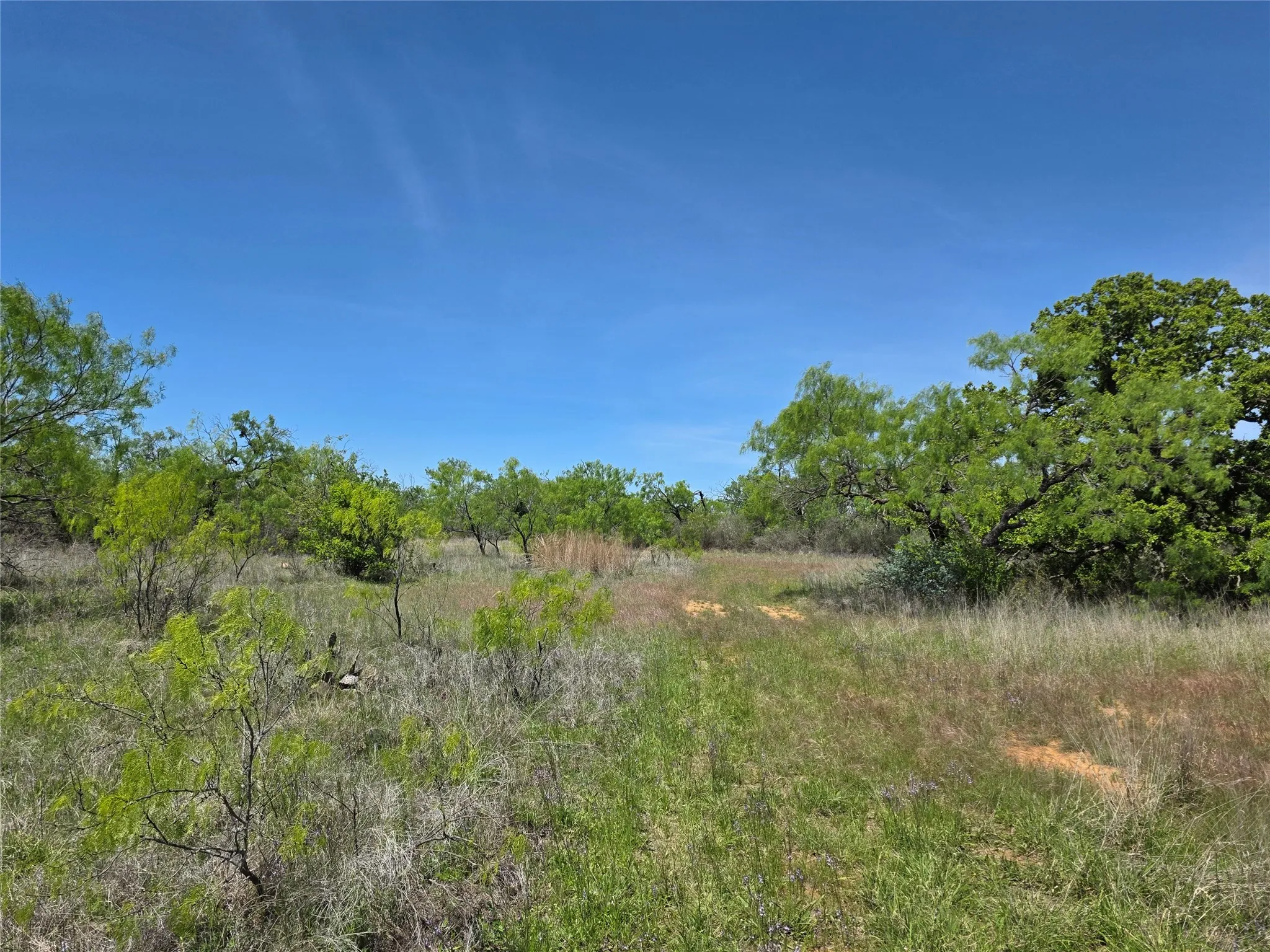 Ranch For Sale in San Saba County , 10315 FM 45, Richland Springs, Texas 76872, 0, 0, Garage spaces, 0 Sqft, built in 0, Price $352,578, mls#21159878, Real Estate Agent in Richland Springs, Homes For Sale in San Saba county, Homes For Sale in Richland Springs, Realtor in Richland Springs Texas, Real Estate Brokerage Independent Realty Texas, Luminita Cordes Realtor