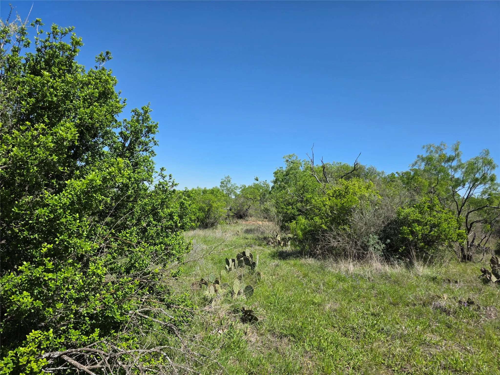 Ranch For Sale in San Saba County , 10315 FM 45, Richland Springs, Texas 76872, 0, 0, Garage spaces, 0 Sqft, built in 0, Price $352,578, mls#21159878, Real Estate Agent in Richland Springs, Homes For Sale in San Saba county, Homes For Sale in Richland Springs, Realtor in Richland Springs Texas, Real Estate Brokerage Independent Realty Texas, Luminita Cordes Realtor
