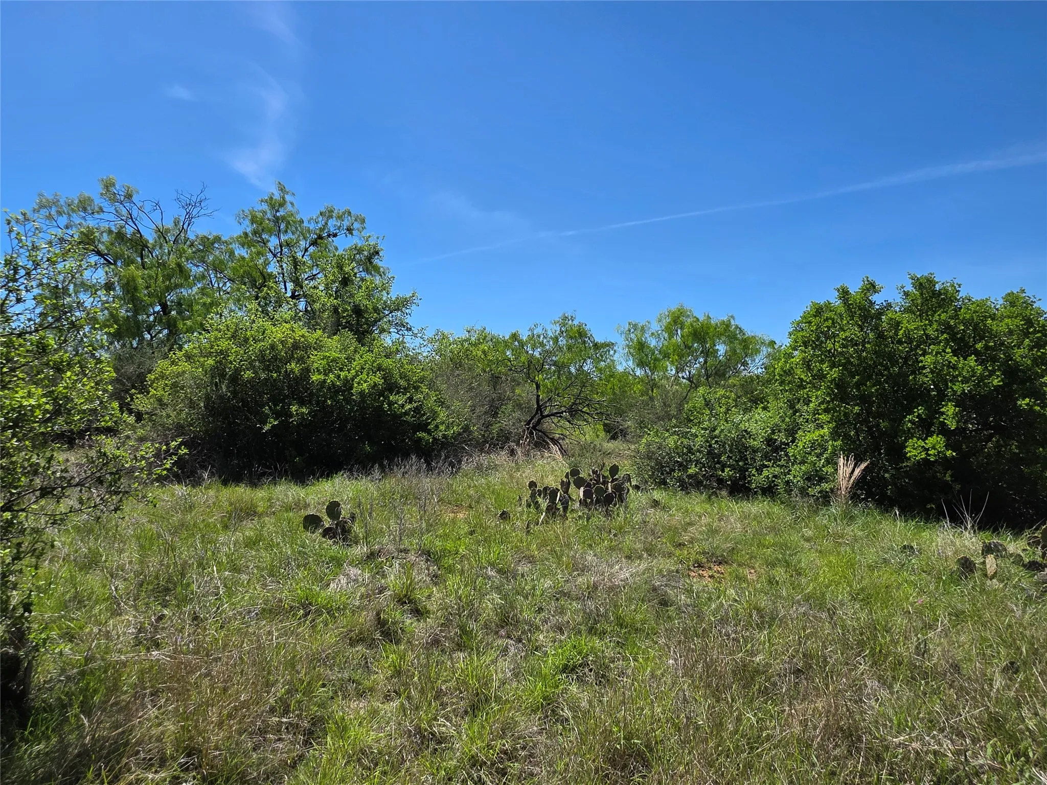 Ranch For Sale in San Saba County , 10315 FM 45, Richland Springs, Texas 76872, 0, 0, Garage spaces, 0 Sqft, built in 0, Price $352,578, mls#21159878, Real Estate Agent in Richland Springs, Homes For Sale in San Saba county, Homes For Sale in Richland Springs, Realtor in Richland Springs Texas, Real Estate Brokerage Independent Realty Texas, Luminita Cordes Realtor