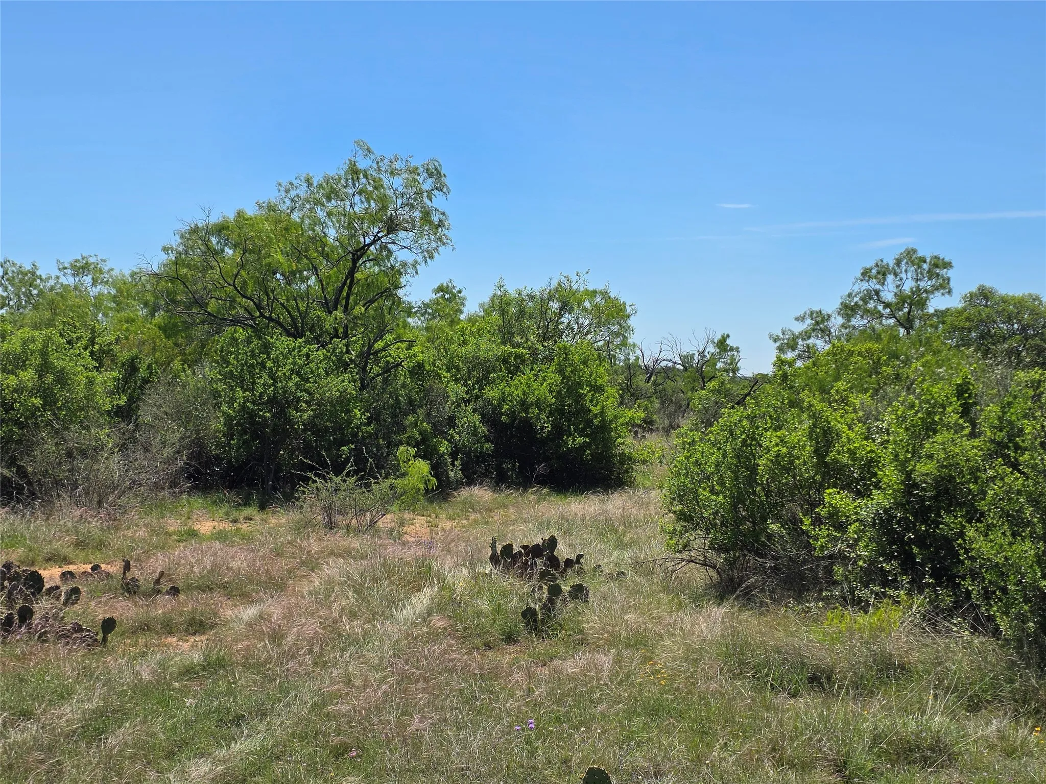 Ranch For Sale in San Saba County , 10315 FM 45, Richland Springs, Texas 76872, 0, 0, Garage spaces, 0 Sqft, built in 0, Price $352,578, mls#21159878, Real Estate Agent in Richland Springs, Homes For Sale in San Saba county, Homes For Sale in Richland Springs, Realtor in Richland Springs Texas, Real Estate Brokerage Independent Realty Texas, Luminita Cordes Realtor