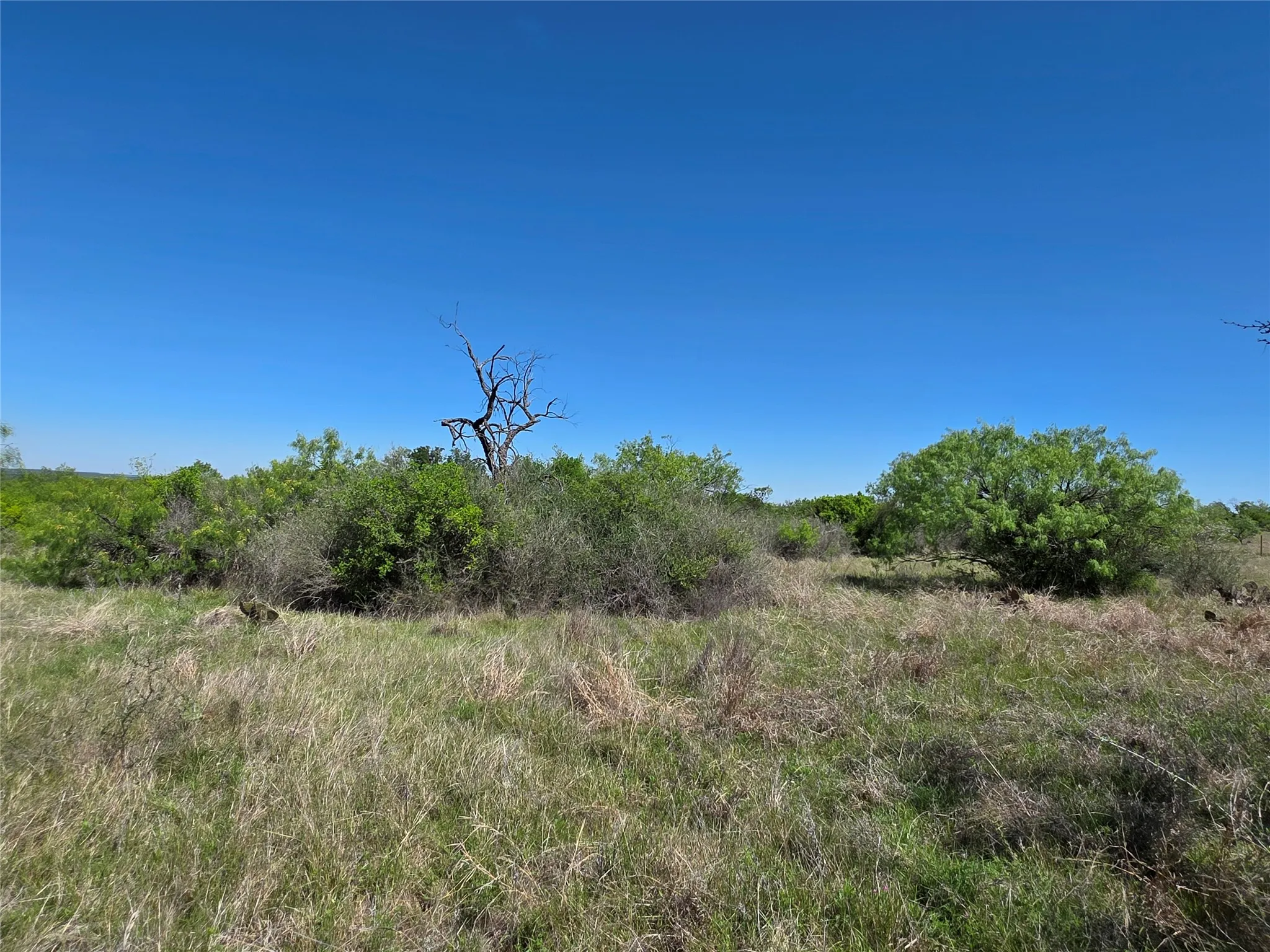 Ranch For Sale in San Saba County , 10315 FM 45, Richland Springs, Texas 76872, 0, 0, Garage spaces, 0 Sqft, built in 0, Price $352,578, mls#21159878, Real Estate Agent in Richland Springs, Homes For Sale in San Saba county, Homes For Sale in Richland Springs, Realtor in Richland Springs Texas, Real Estate Brokerage Independent Realty Texas, Luminita Cordes Realtor