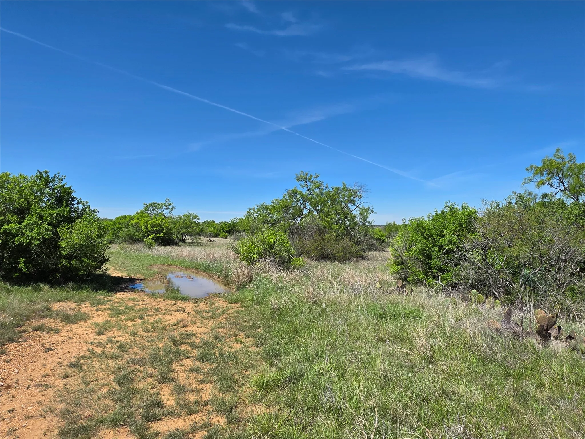 Ranch For Sale in San Saba County , 10315 FM 45, Richland Springs, Texas 76872, 0, 0, Garage spaces, 0 Sqft, built in 0, Price $352,578, mls#21159878, Real Estate Agent in Richland Springs, Homes For Sale in San Saba county, Homes For Sale in Richland Springs, Realtor in Richland Springs Texas, Real Estate Brokerage Independent Realty Texas, Luminita Cordes Realtor