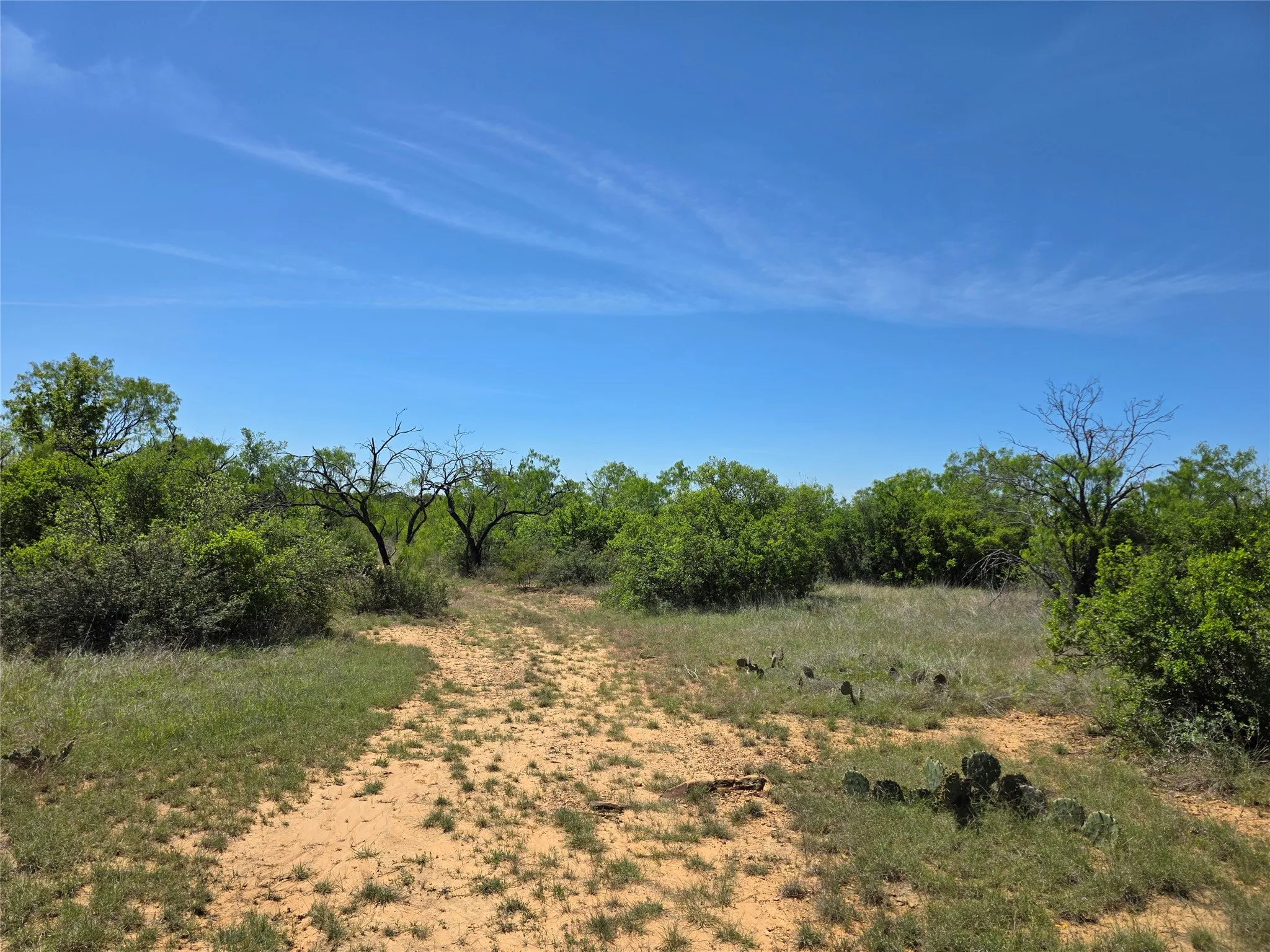 Ranch For Sale in San Saba County , 10315 FM 45, Richland Springs, Texas 76872, 0, 0, Garage spaces, 0 Sqft, built in 0, Price $352,578, mls#21159878, Real Estate Agent in Richland Springs, Homes For Sale in San Saba county, Homes For Sale in Richland Springs, Realtor in Richland Springs Texas, Real Estate Brokerage Independent Realty Texas, Luminita Cordes Realtor