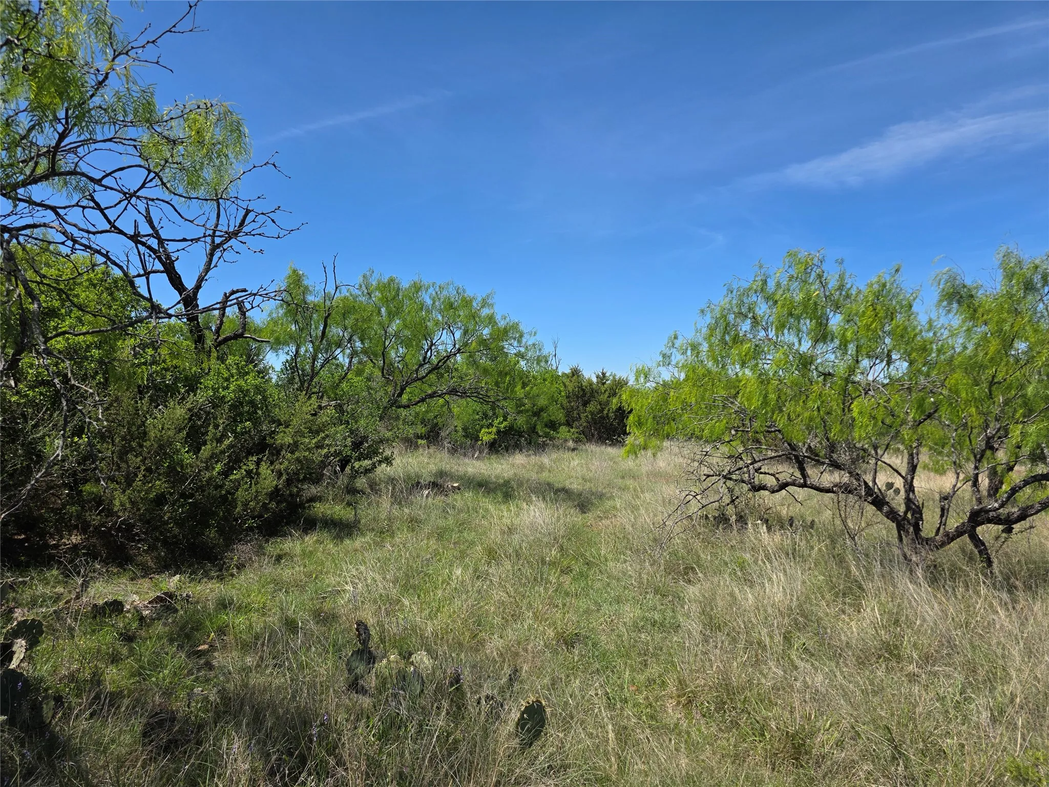 Ranch For Sale in San Saba County , 10315 FM 45, Richland Springs, Texas 76872, 0, 0, Garage spaces, 0 Sqft, built in 0, Price $352,578, mls#21159878, Real Estate Agent in Richland Springs, Homes For Sale in San Saba county, Homes For Sale in Richland Springs, Realtor in Richland Springs Texas, Real Estate Brokerage Independent Realty Texas, Luminita Cordes Realtor