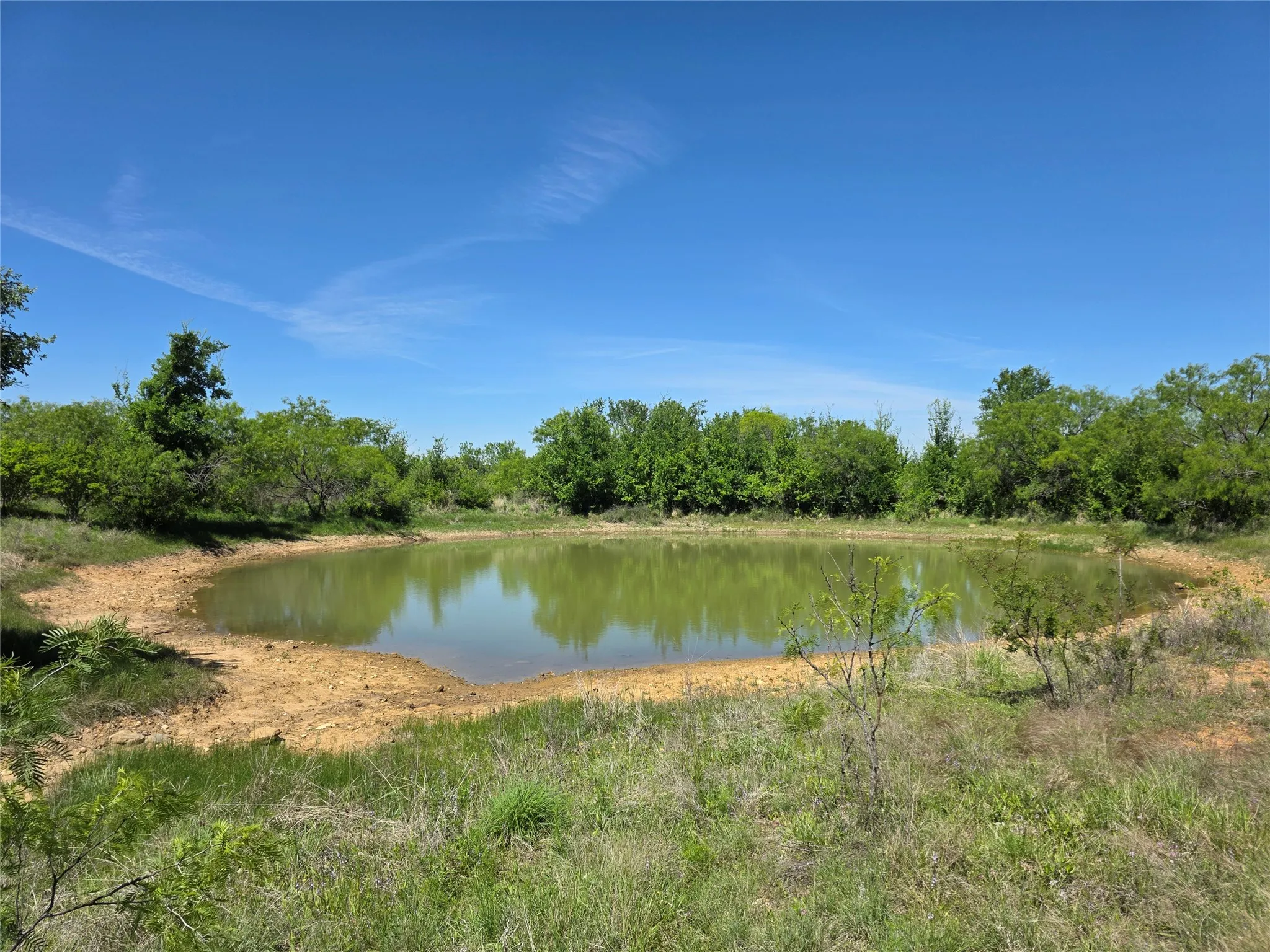Ranch For Sale in San Saba County , 10315 FM 45, Richland Springs, Texas 76872, 0, 0, Garage spaces, 0 Sqft, built in 0, Price $352,578, mls#21159878, Real Estate Agent in Richland Springs, Homes For Sale in San Saba county, Homes For Sale in Richland Springs, Realtor in Richland Springs Texas, Real Estate Brokerage Independent Realty Texas, Luminita Cordes Realtor